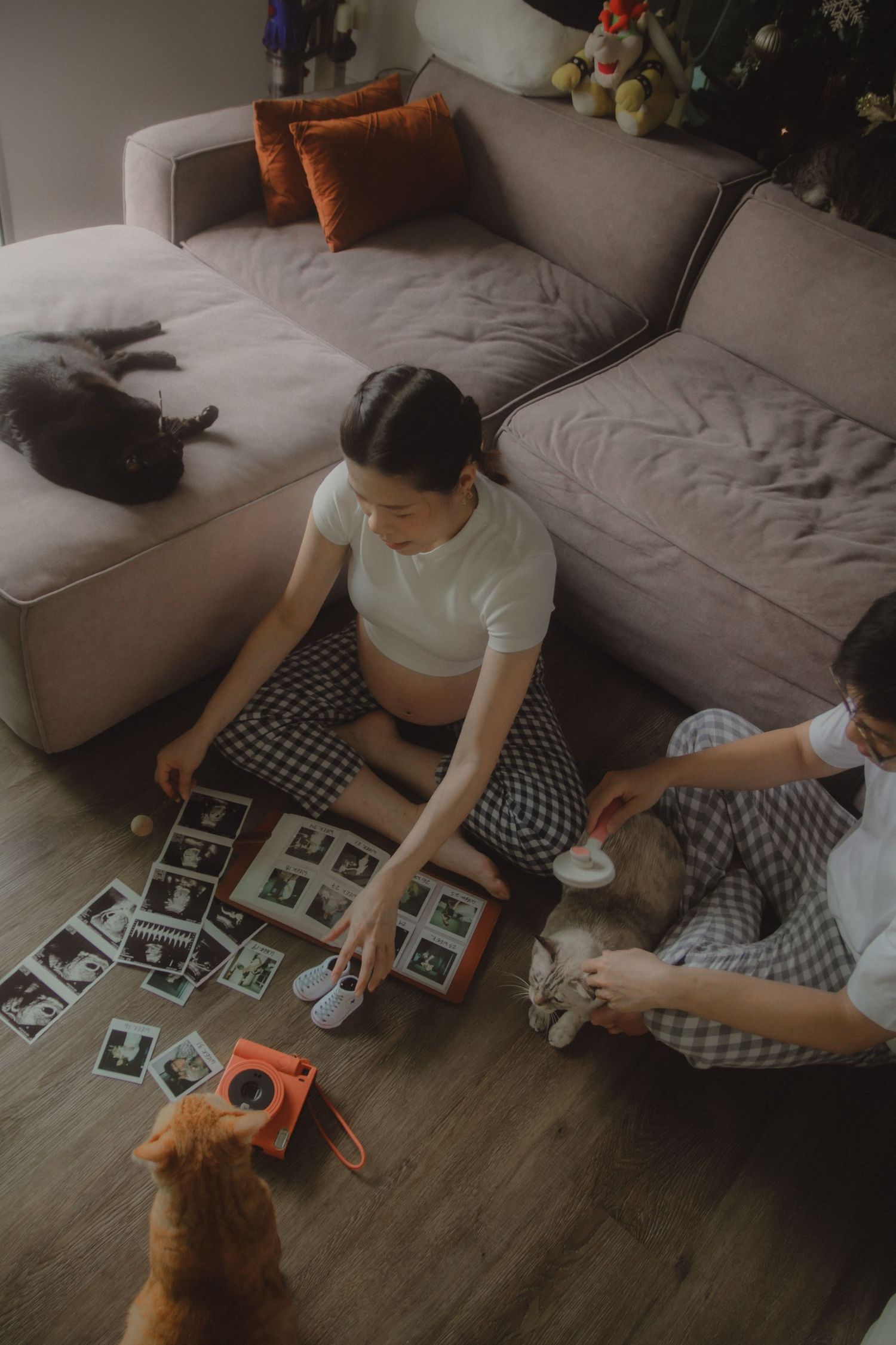 in-home maternity portrait photography in Singapore with natural light, emotional storytelling and cats