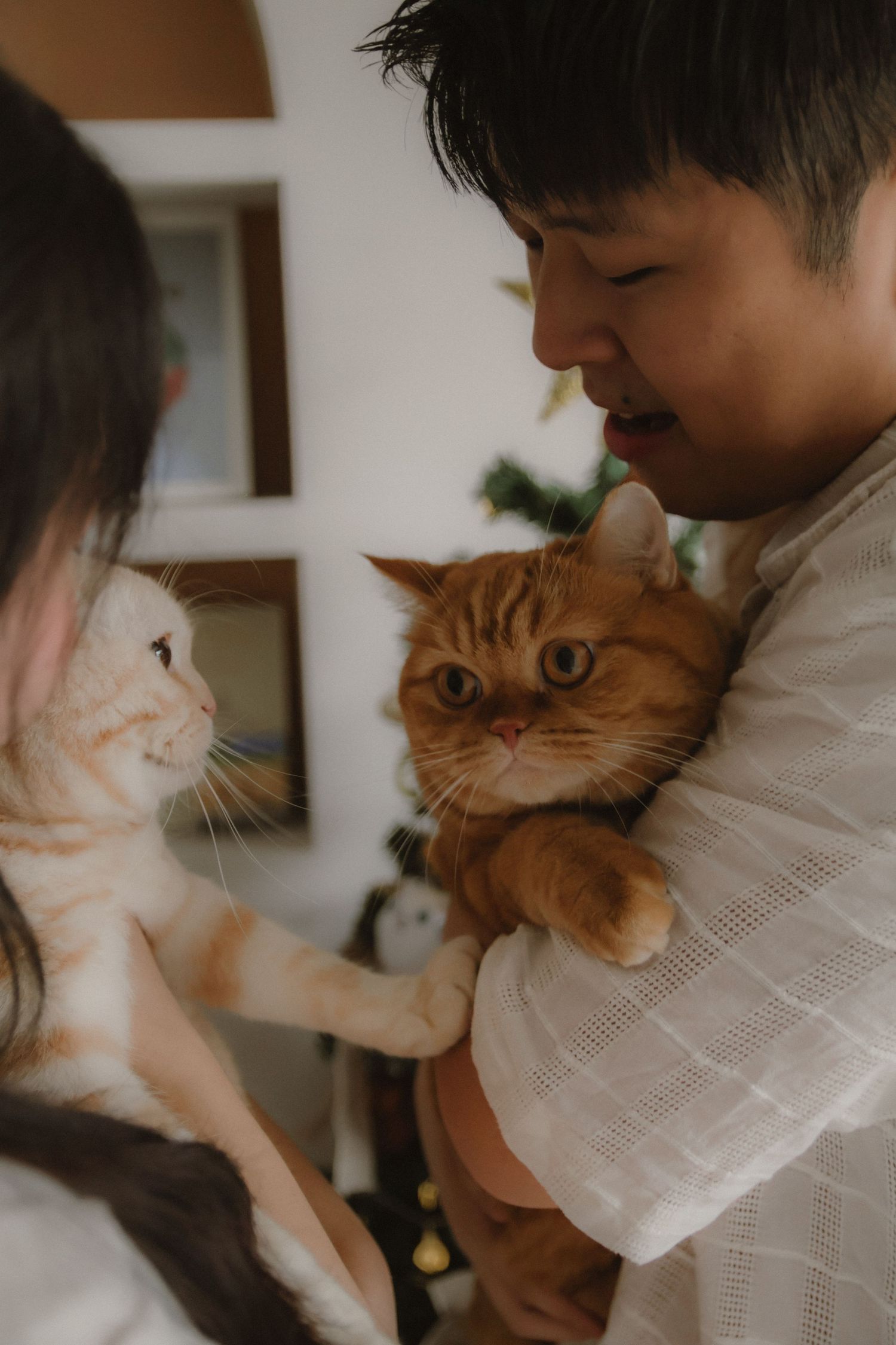In-home pet photography in Singapore, a couple with 2 cats at home