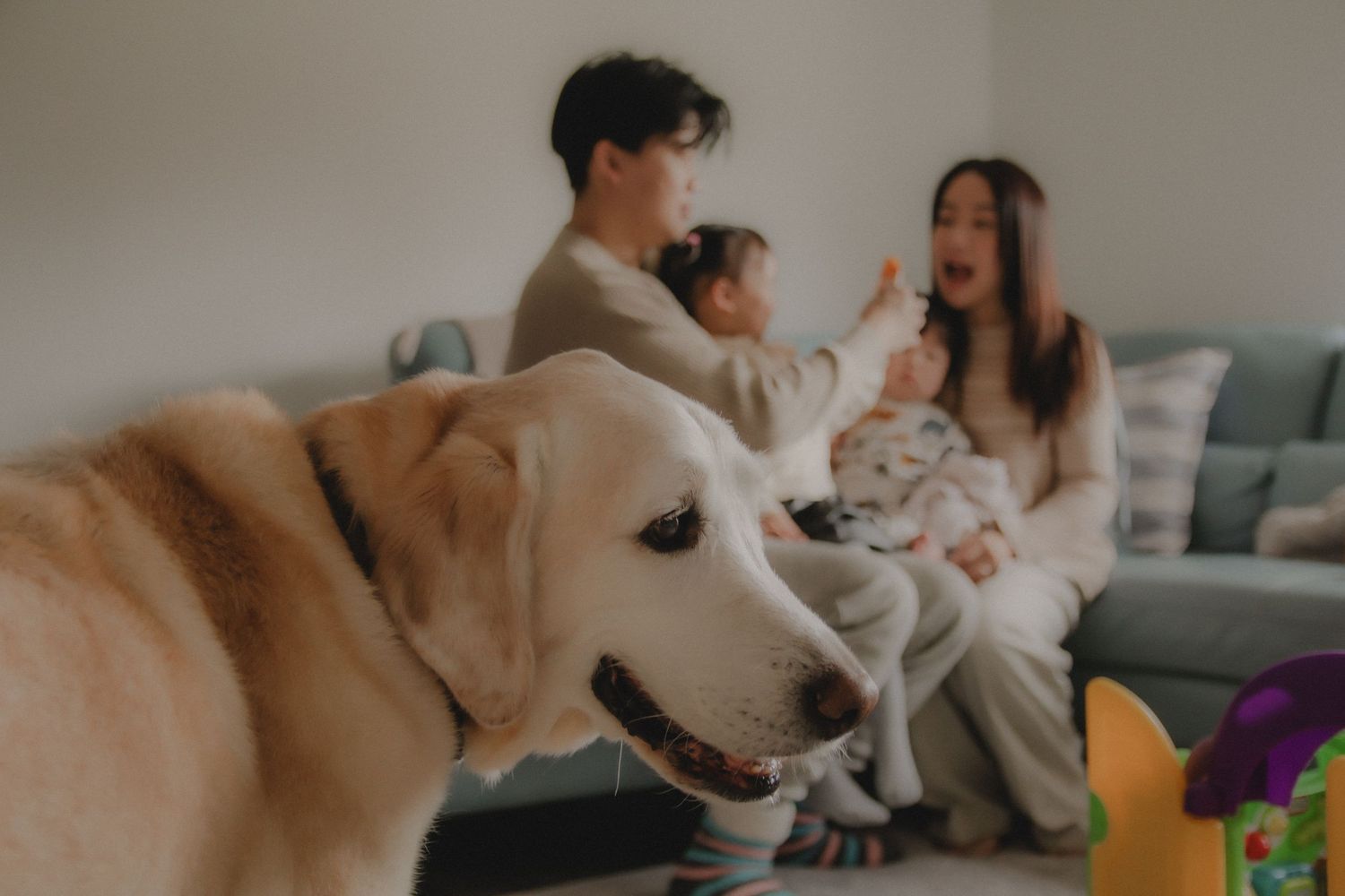 In-home family photoshoot in Singapore capturing candid moments between parents and children at home, with pet dog