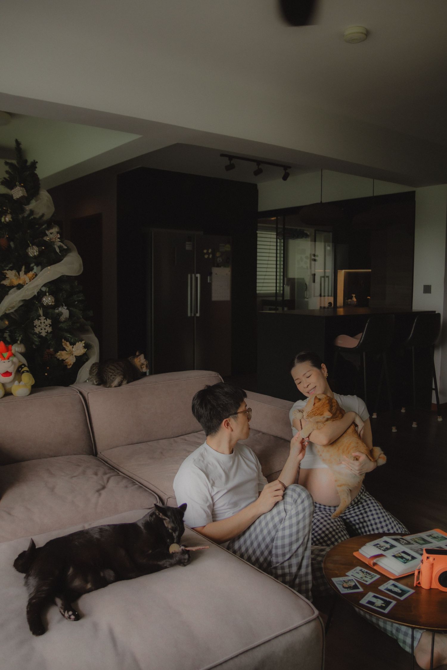 in-home maternity portrait photography in Singapore with natural light, emotional storytelling and cats