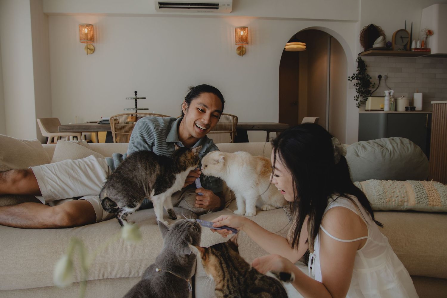 In-home pet photography in Singapore with jingwensathome