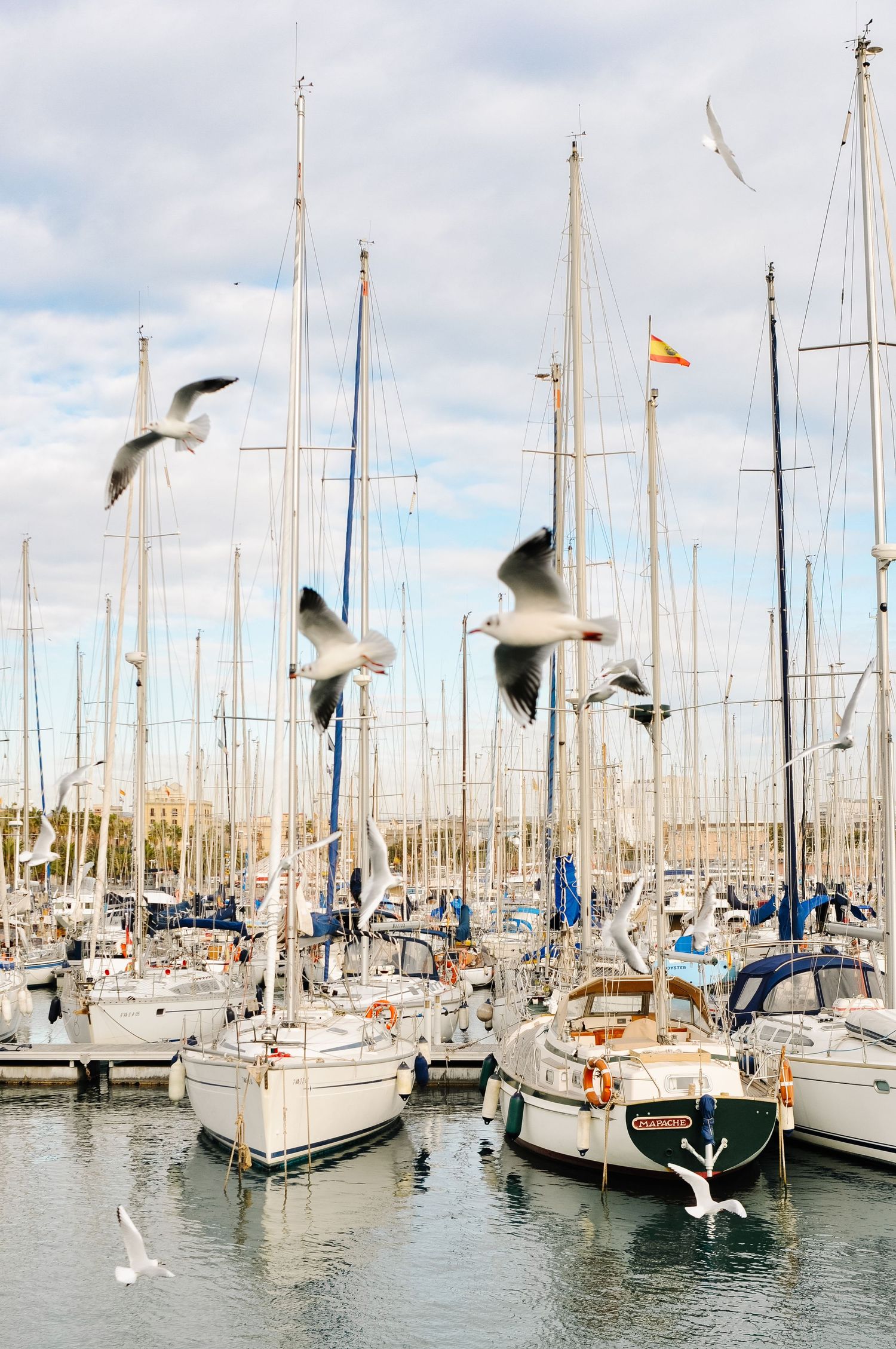 Seagulls flying over sailboats docked at a marina with tall masts and a Spanish flag on a cloudy day.