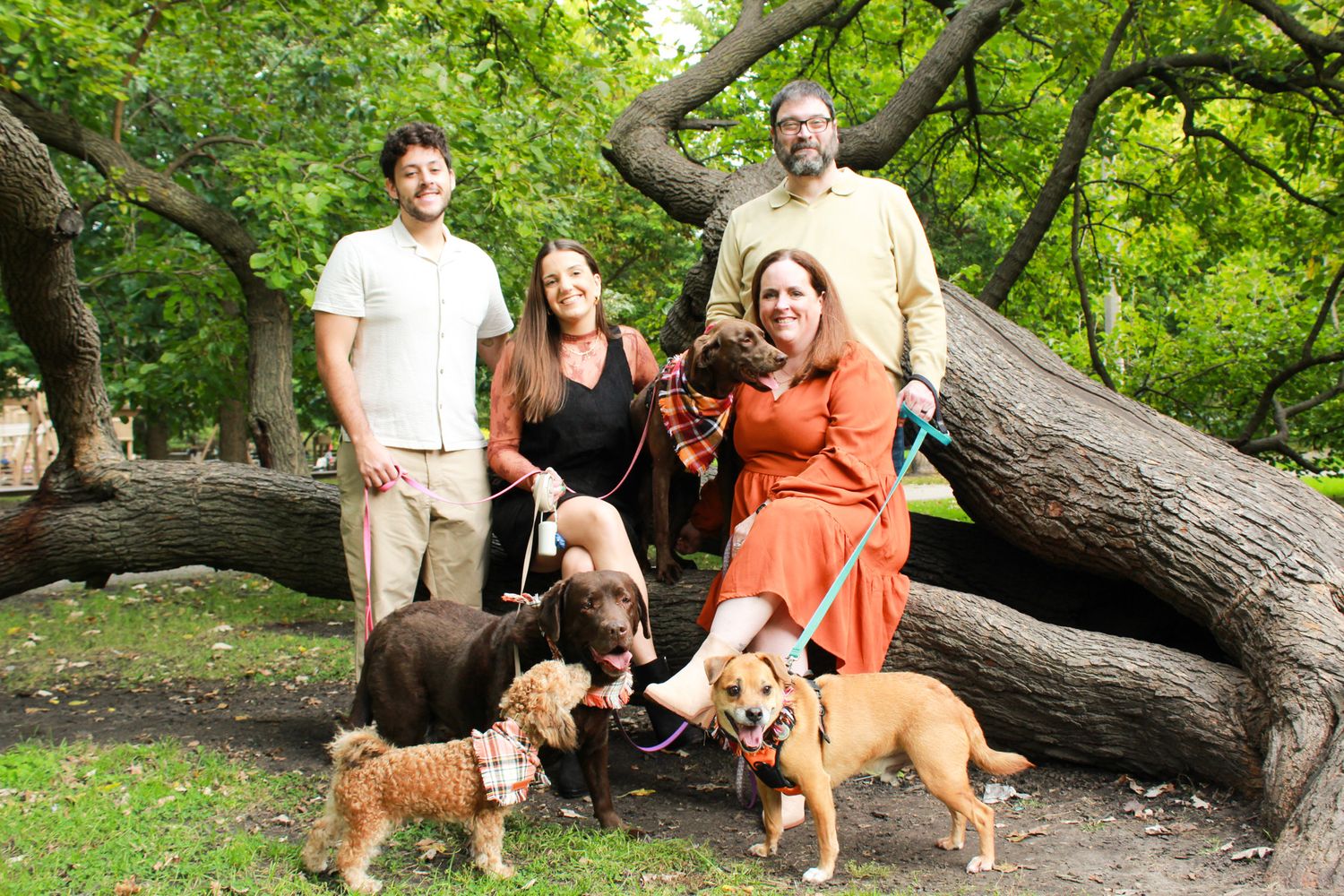 Four people pose with five dogs near a fallen tree in a lush green park setting.