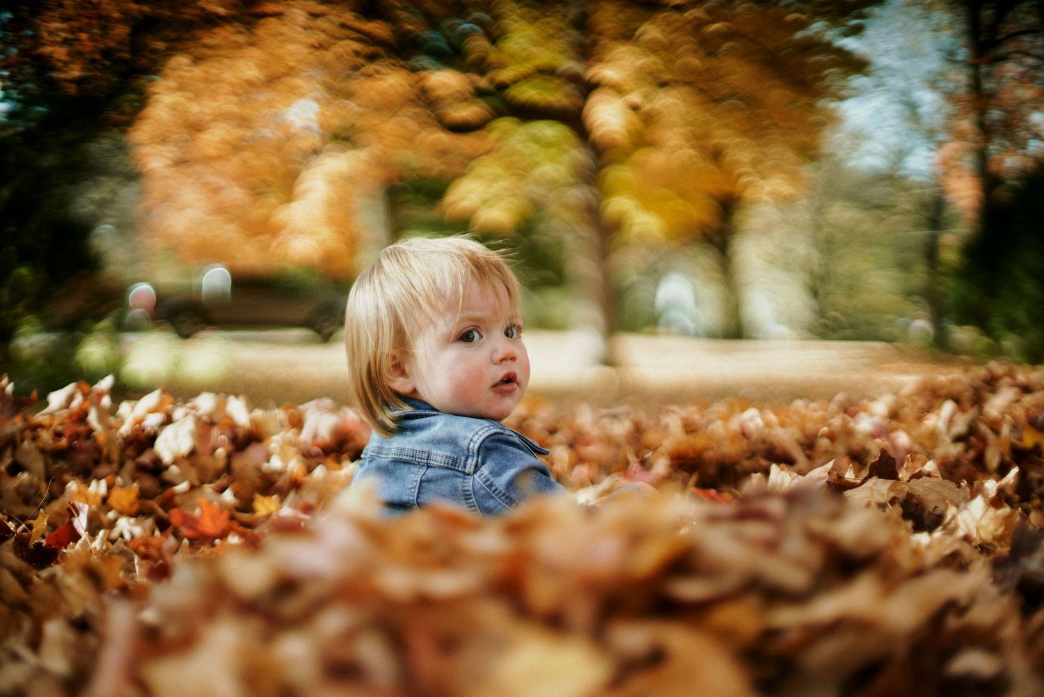 Autumn leaves scattered across ground with blurred figures playing in background.