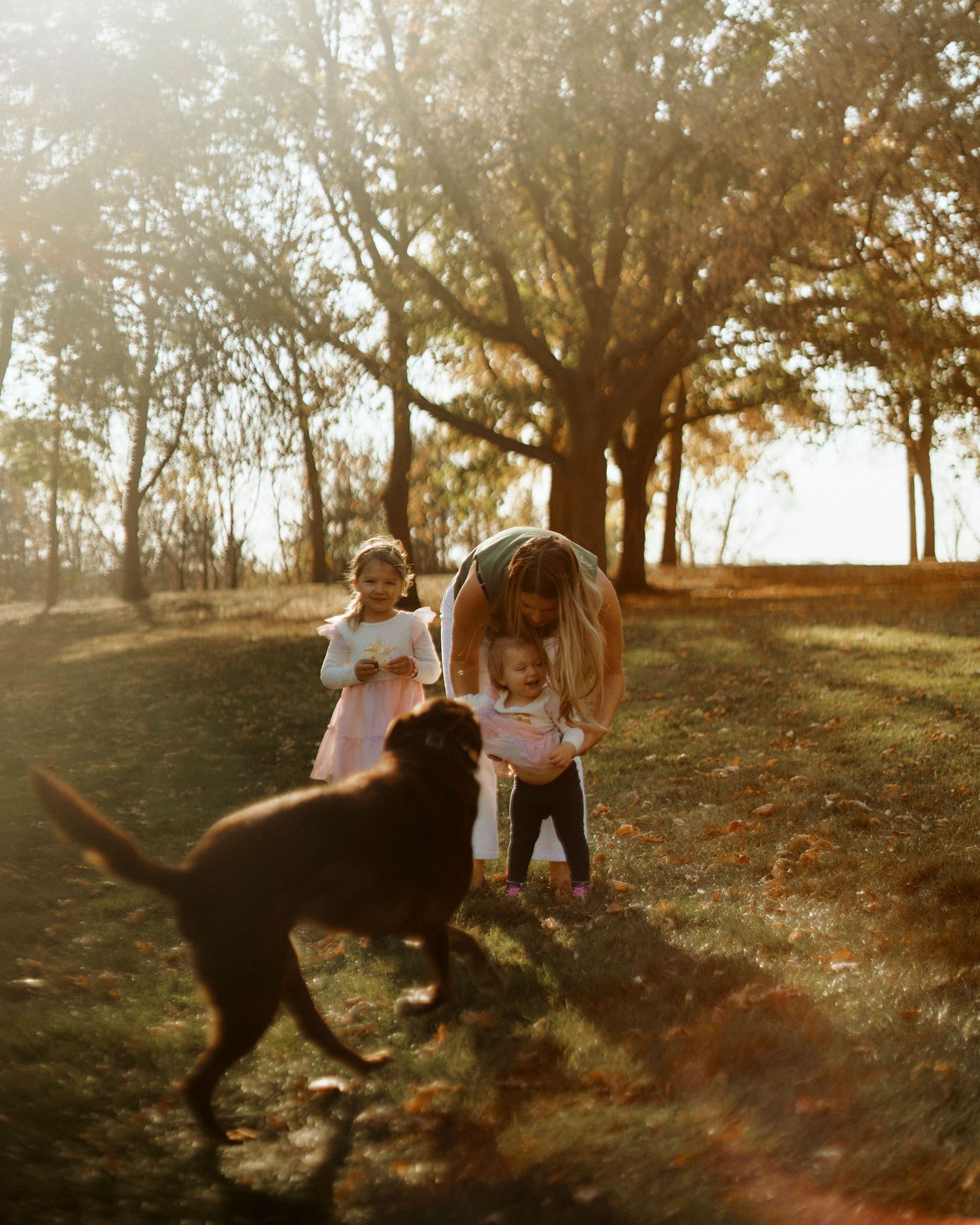 Playful scene of people throwing autumn leaves in a sunlit wooded area.
