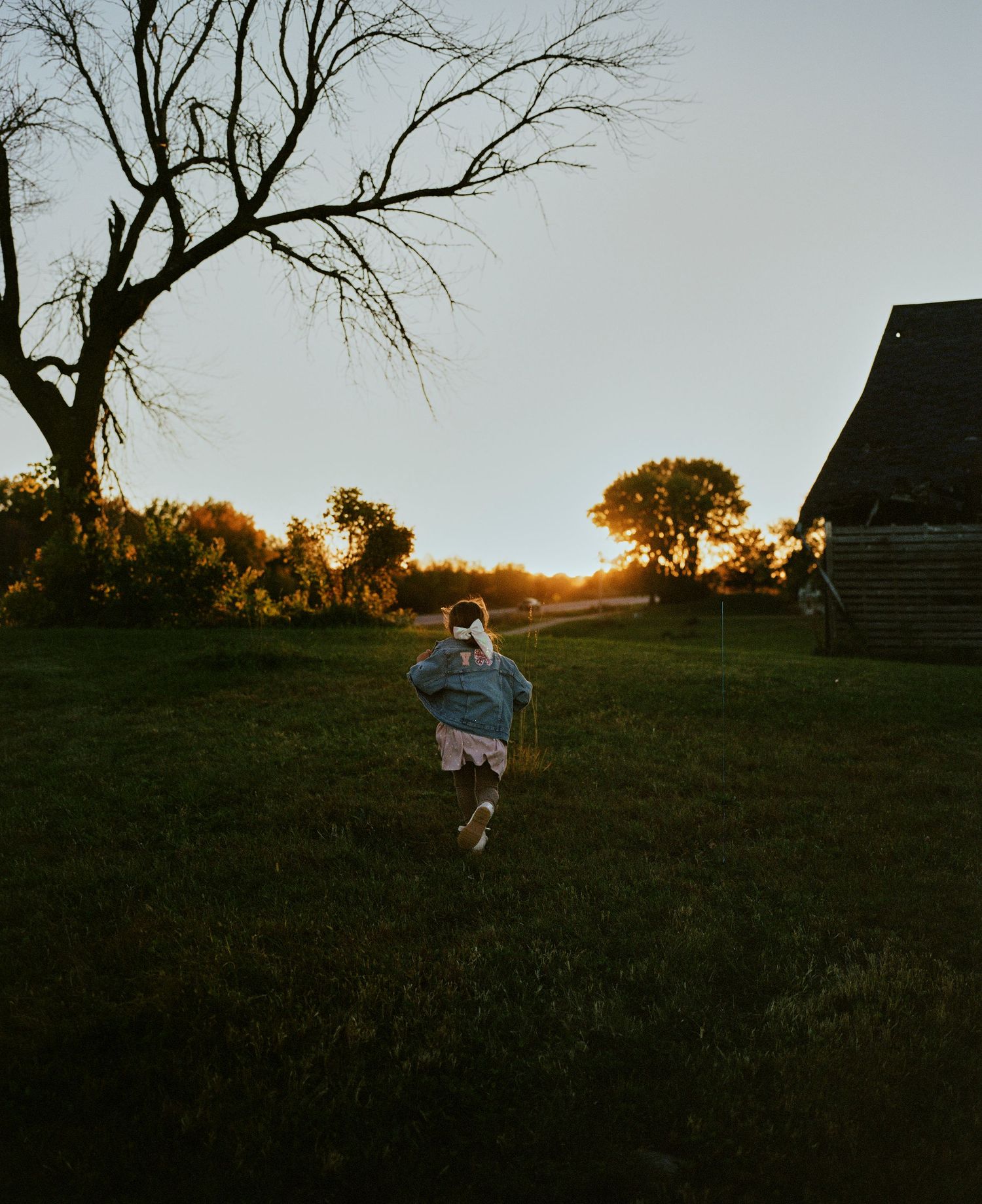 Silhouettes of people on grassy hill with bare trees and buildings at sunset.