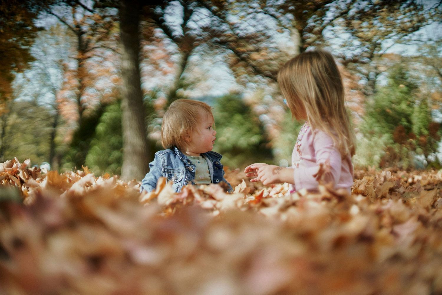 Children playing in fallen autumn leaves during golden hour in a park setting.
