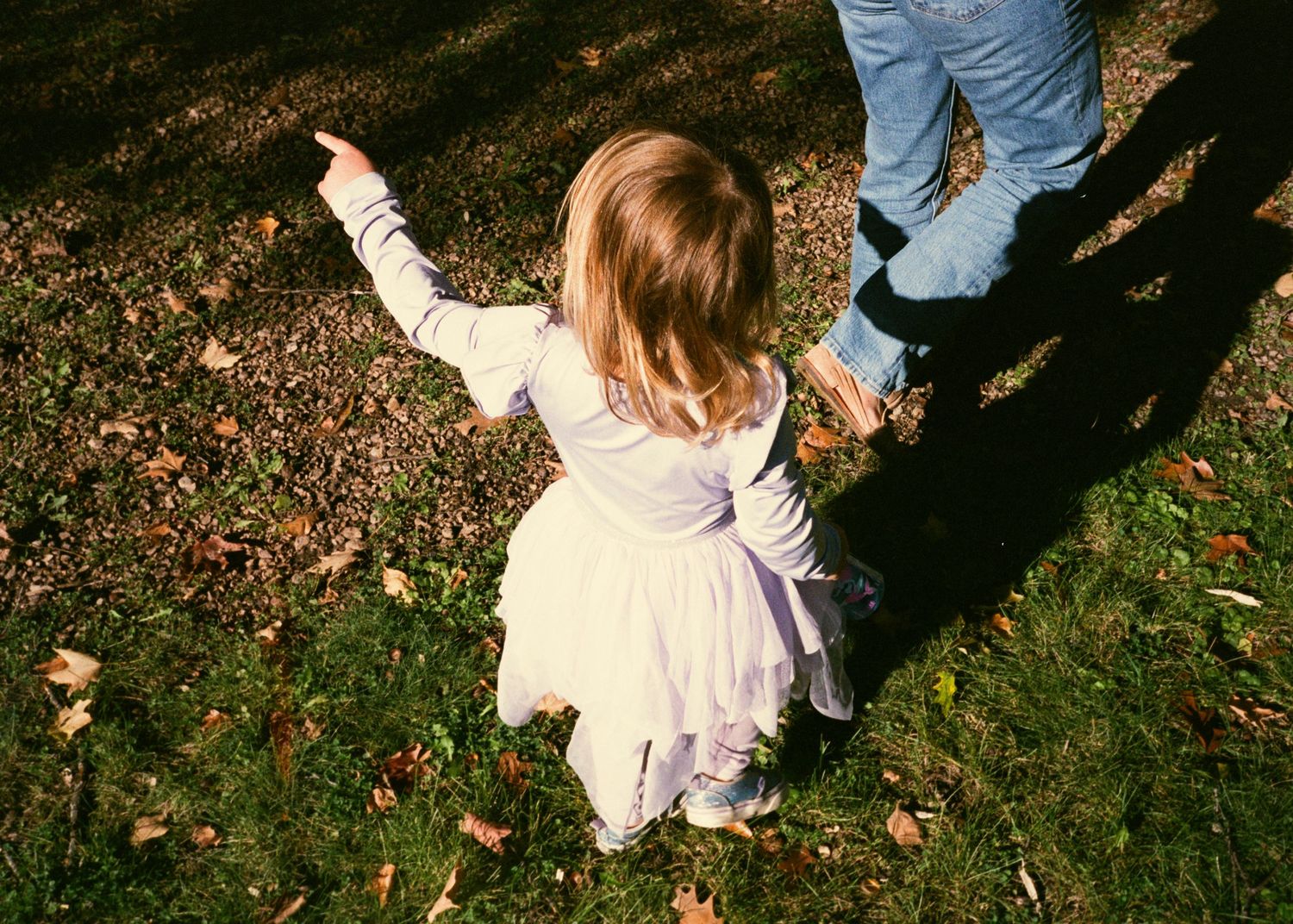 People walking through fallen autumn leaves on grass in sunlight.