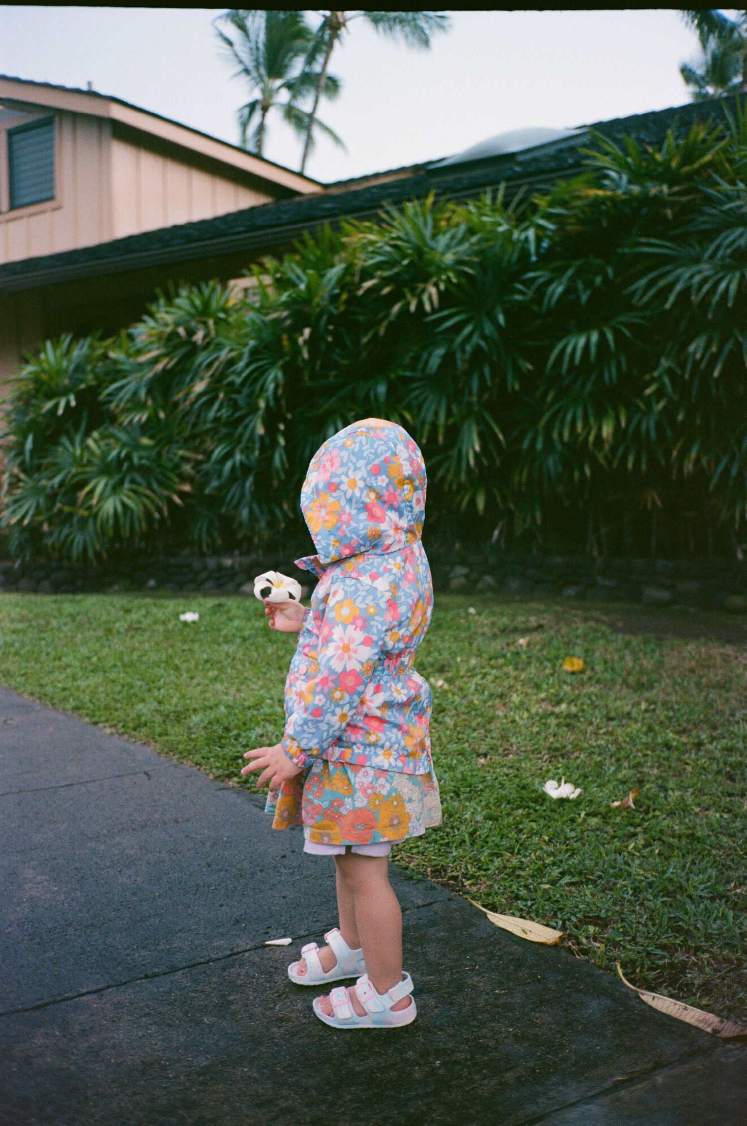 Small child in floral romper exploring tropical garden path with palm trees.