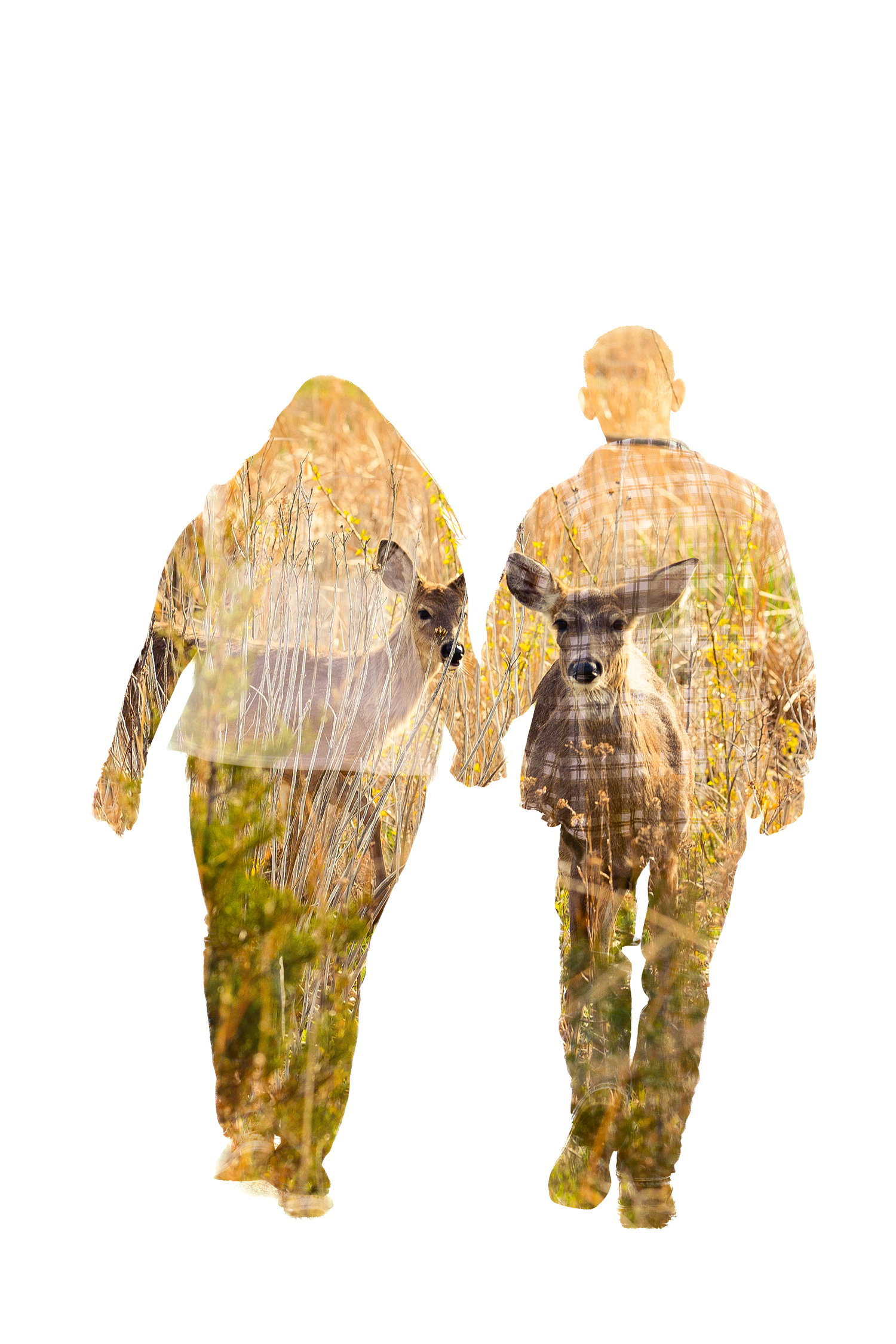 Double exposure silhouette of a couple holding hands blended with a deer in a golden meadow.