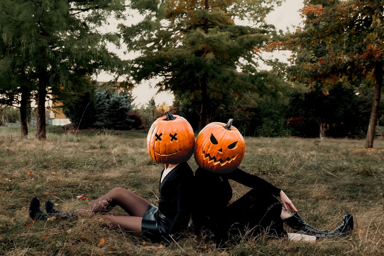 Two people sitting in a grassy park wearing jack-o-lantern pumpkin heads in a fun Halloween costume photo.
