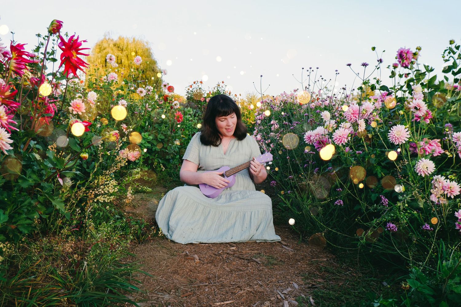 Woman in gray dress playing ukulele surrounded by colorful dahlias in a flower garden at golden hour.