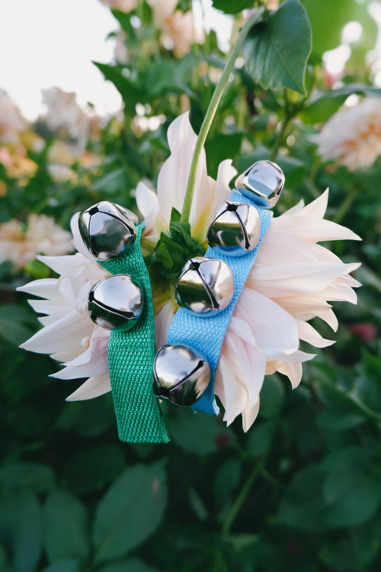 Silver jingle bells on teal and blue ribbon bracelets resting on a pale pink dahlia flower with green foliage background.