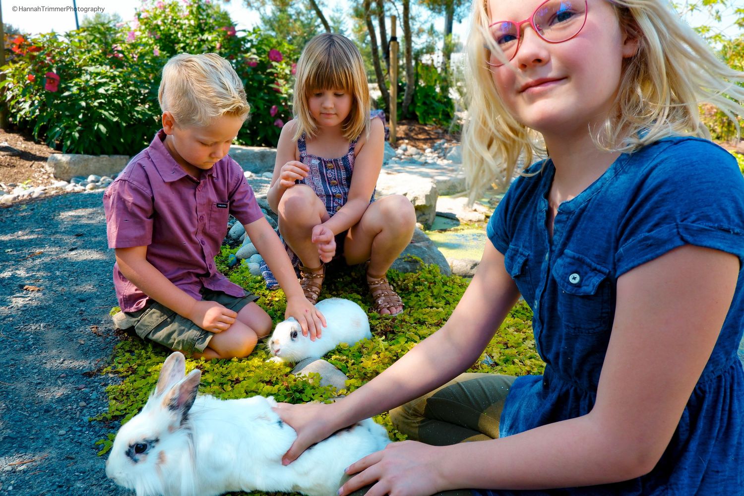 Three children petting white rabbits on green moss in a sunny garden setting.