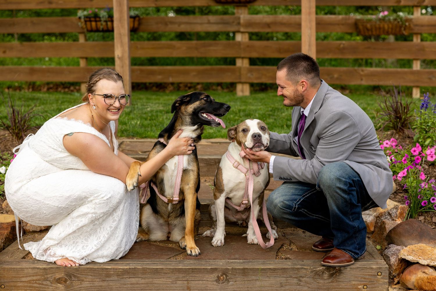 Bride and groom crouching with two dogs on wooden steps at outdoor wedding venue with flowers.