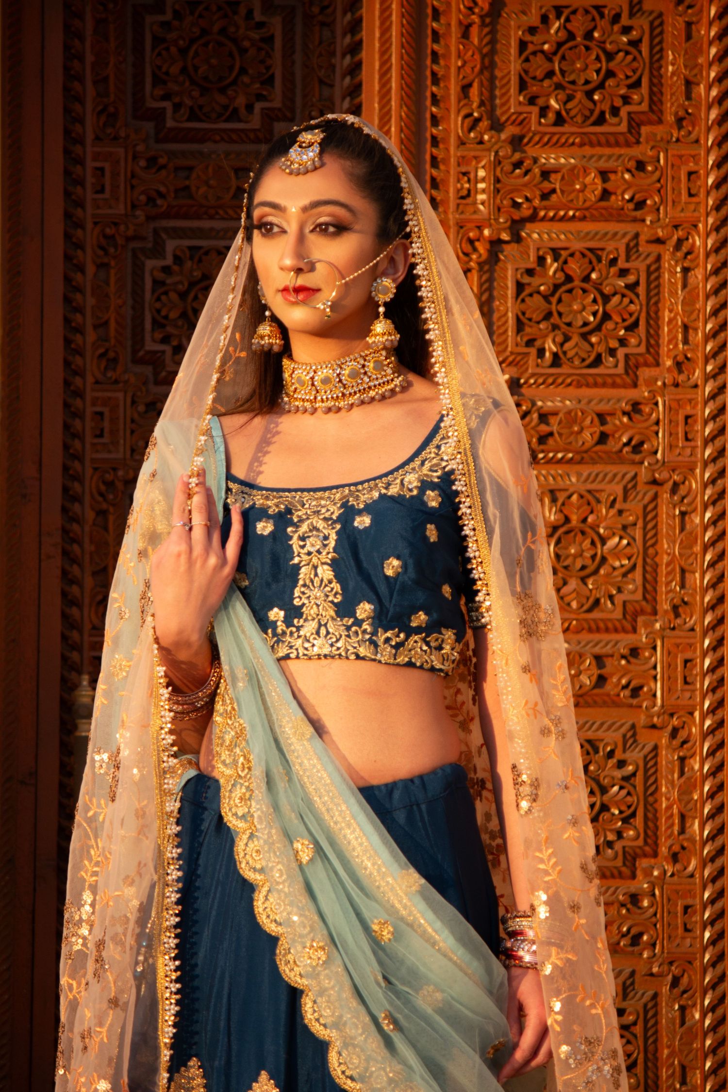 Toronto Portrait Photographer Elegant bridal portrait featuring a navy and gold lehenga with sheer dupatta against wooden carved background.