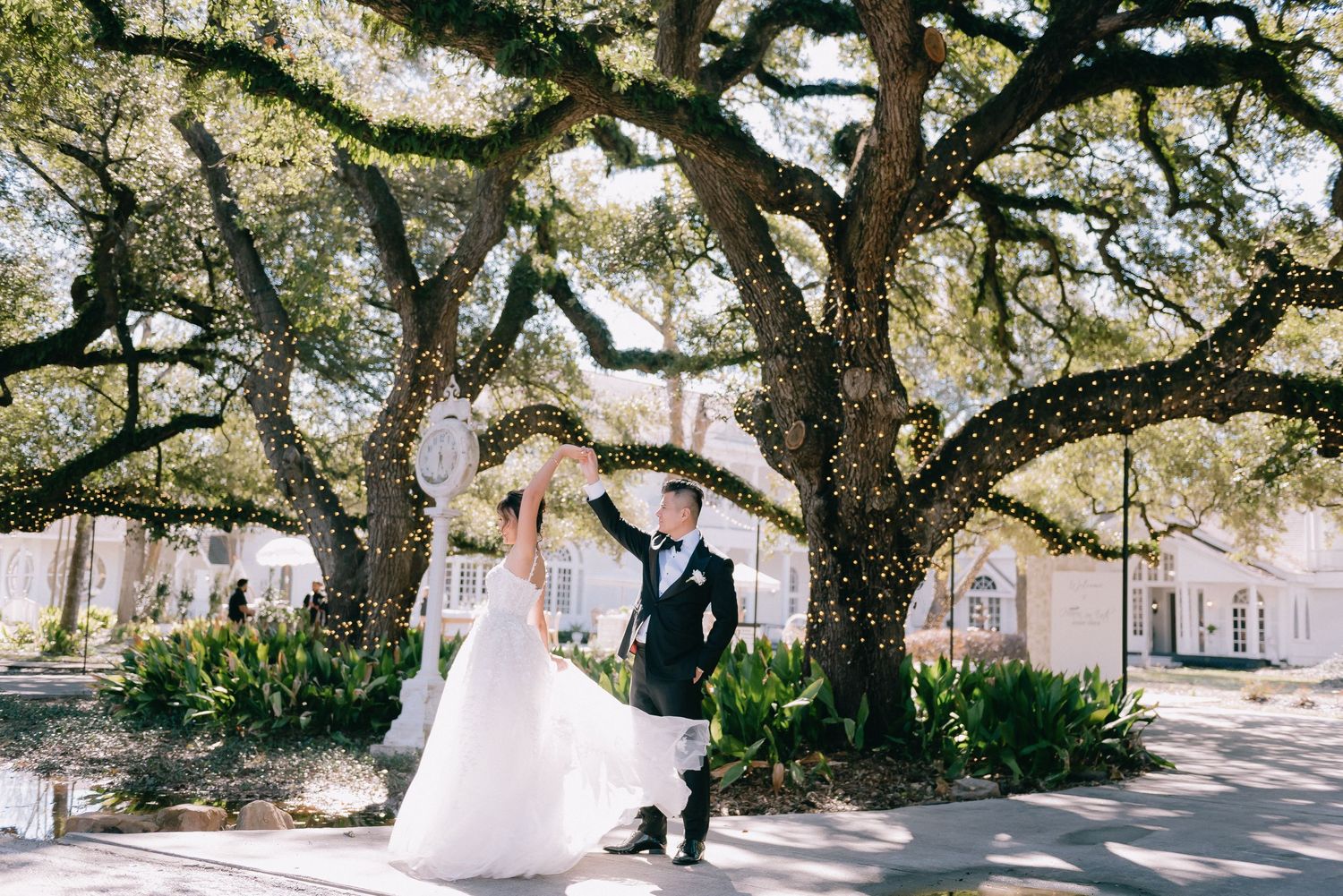 Wedding photo session under majestic oak trees with natural outdoor lighting.