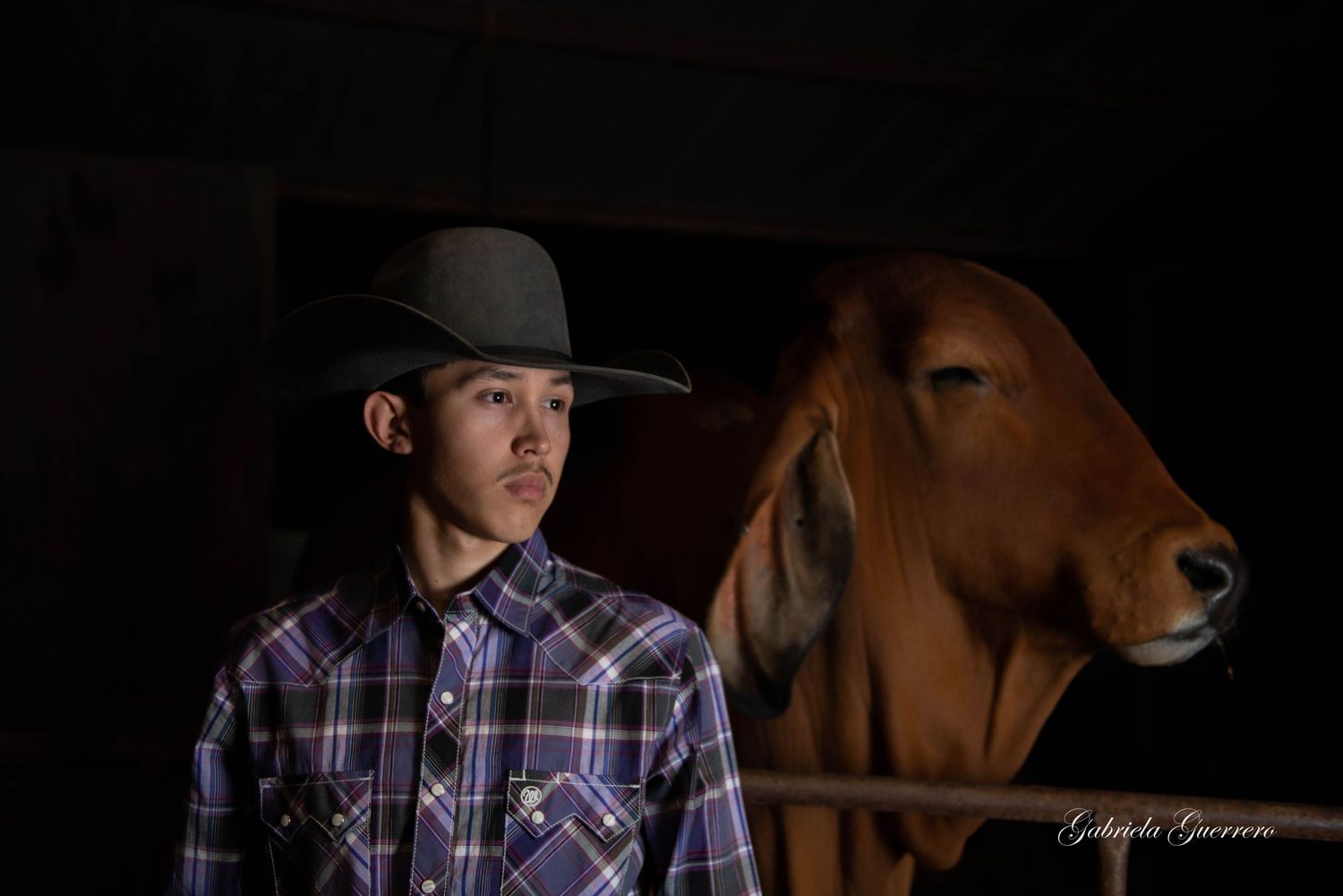 Cowboy in plaid shirt poses with horse in dramatic lighting at stable.
