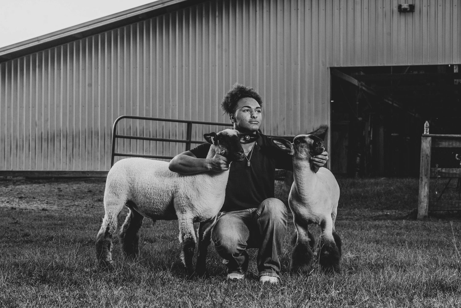 Two sheep pose with their handler in a black and white portrait against a metal barn.
