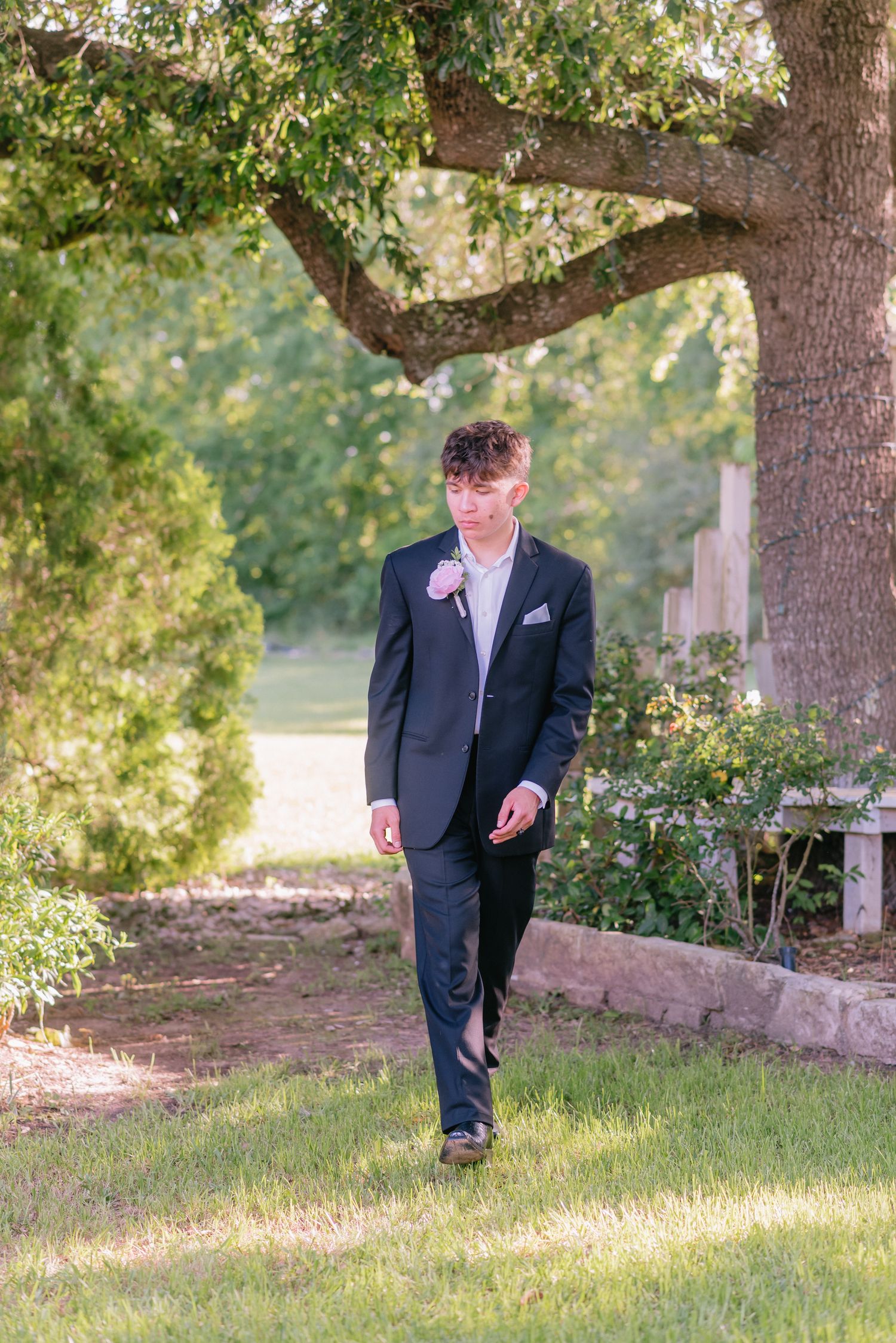 Person in formal attire walking under large oak trees in a park setting.