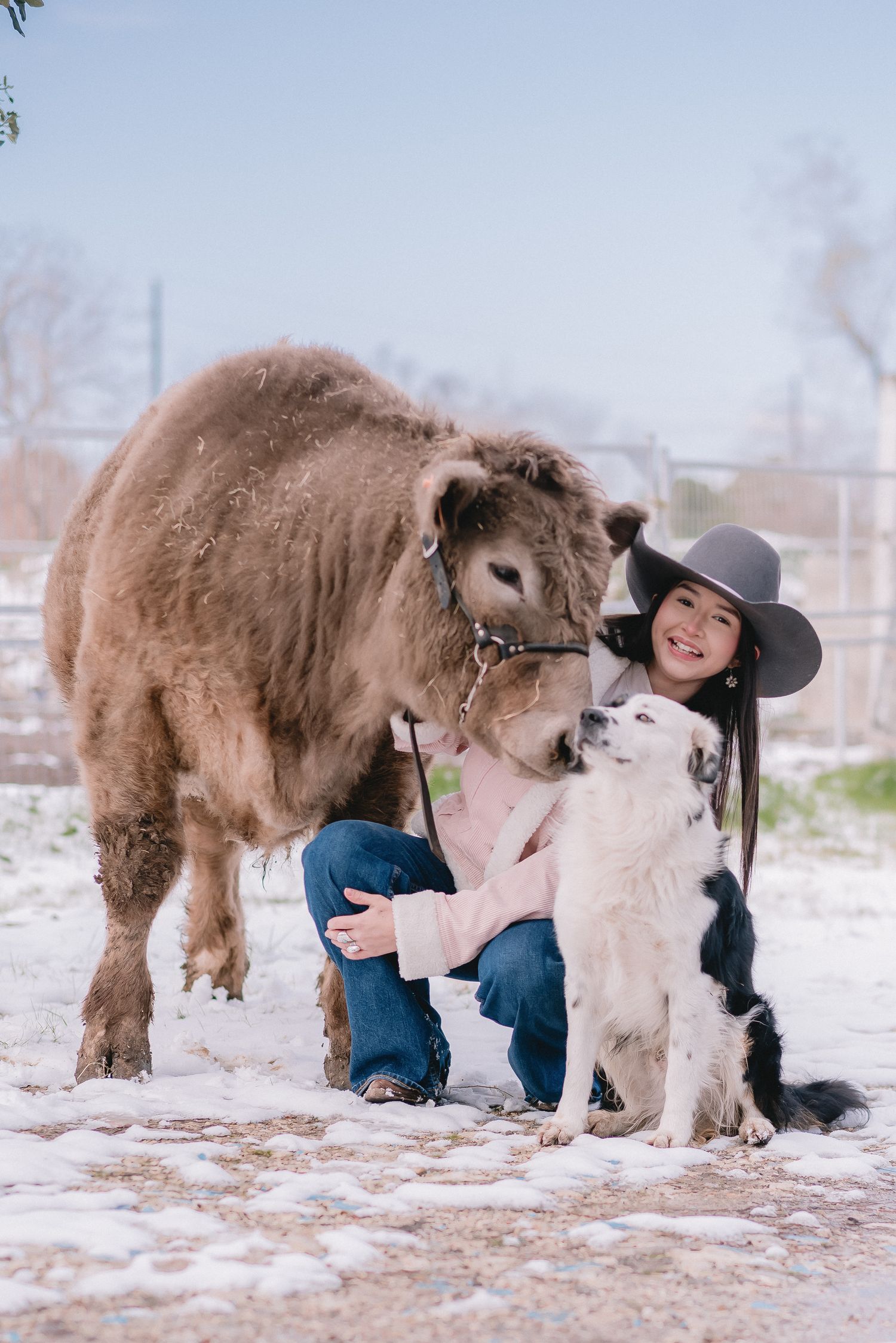 Playful interaction between dogs and person in snowy setting with brown horse.