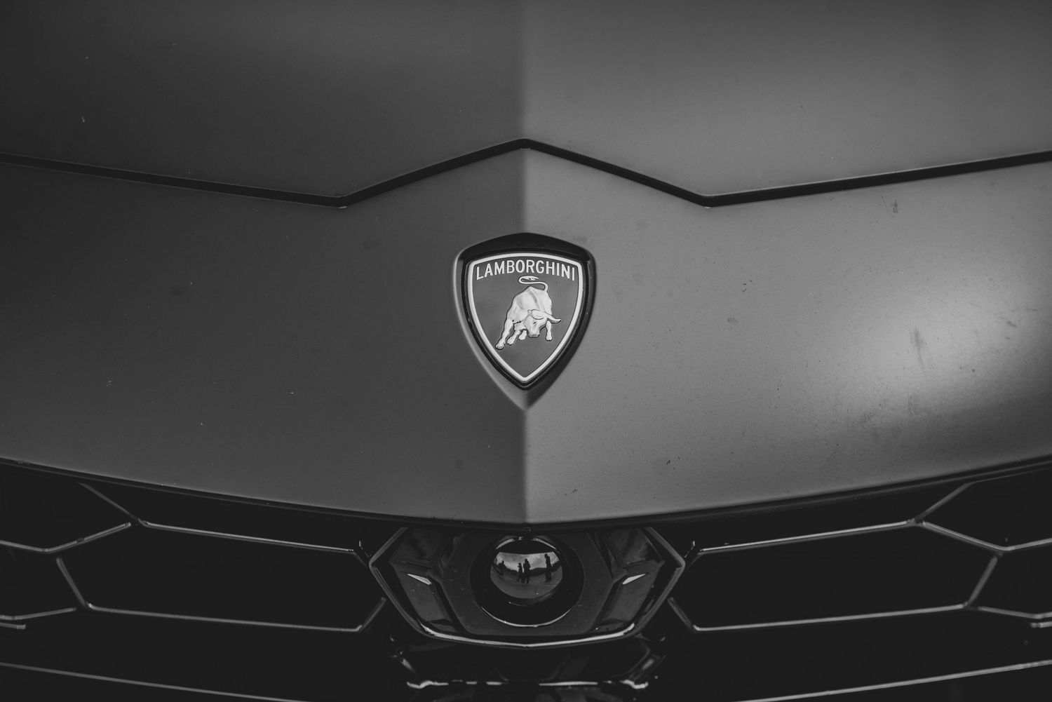 Sleek Lamborghini logo and hood detail in dramatic lighting.