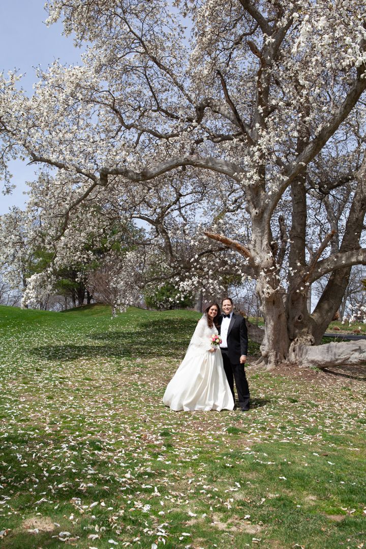 Wedding couple poses under blooming cherry blossom tree on grassy hillside.