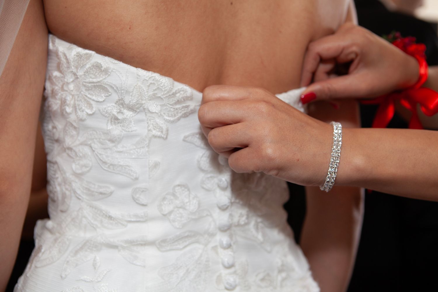 Close-up of hands fastening buttons on back of white wedding dress.