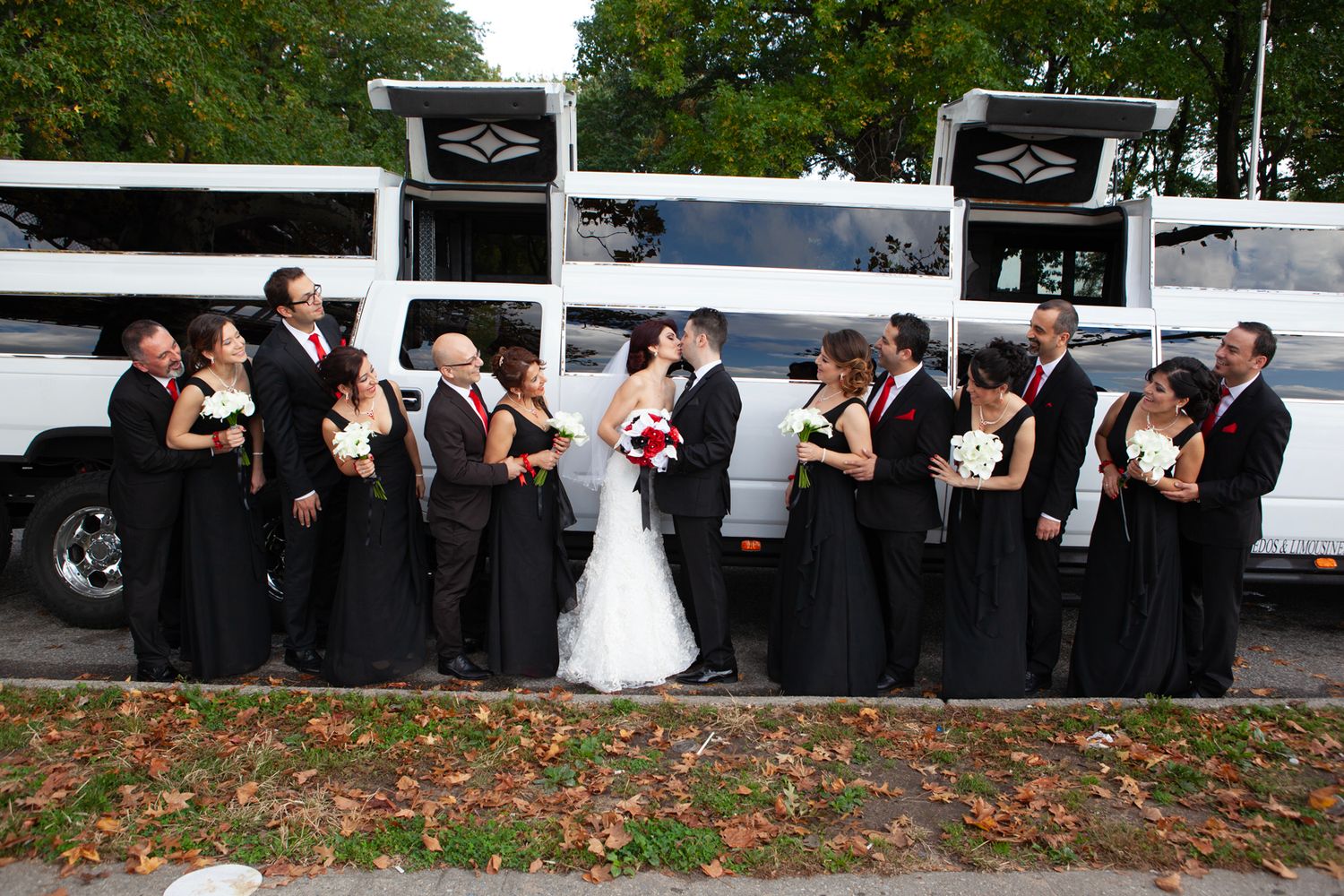 Wedding party lined up outdoors with trees and white limousine in background.