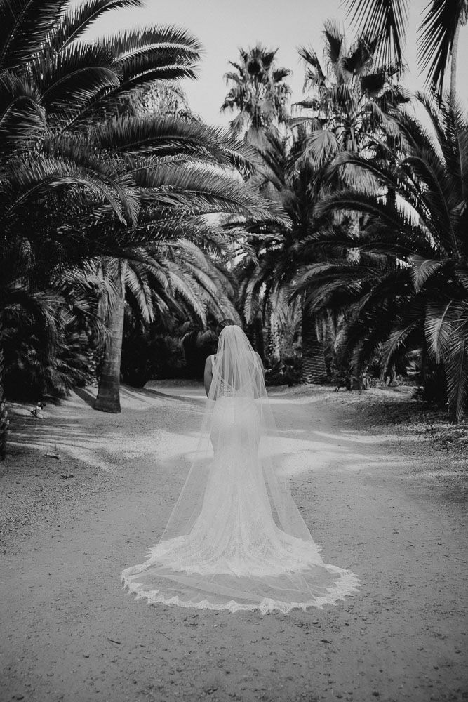 A long wedding veil and train create a dramatic silhouette on a palm tree-lined path.