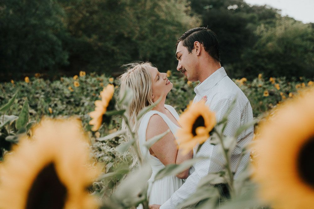 Couple shares tender moment in sunflower field during golden hour.