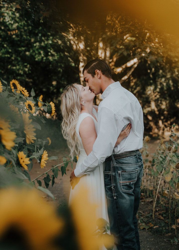 Romantic sunset portrait in field with golden sunflowers in foreground.