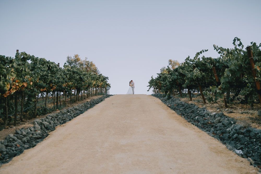 Long dirt path lined with grapevines leading to distant silhouette against bright sky.