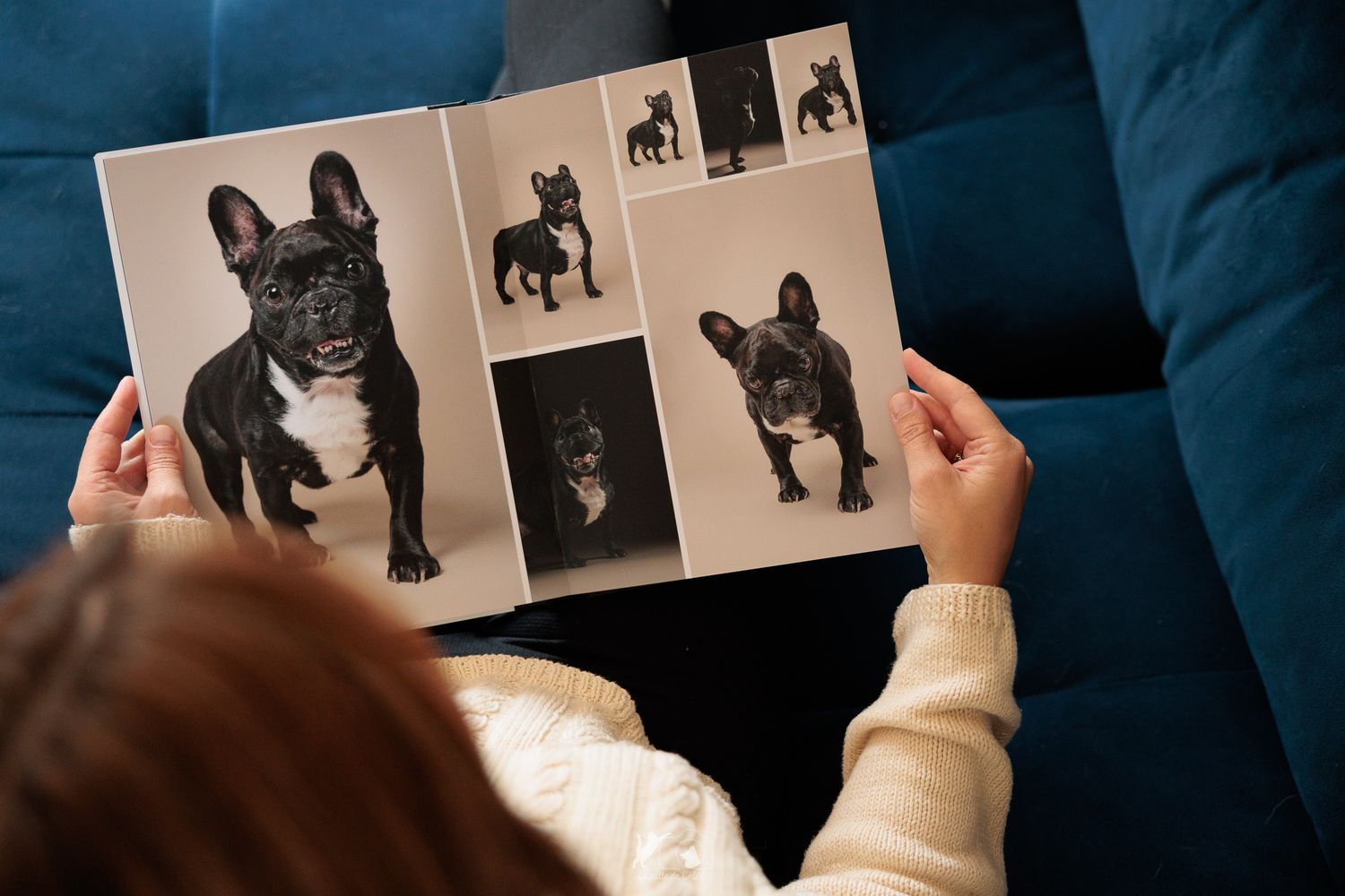 femme feuilletant un album photo avec des photos de bouledogue