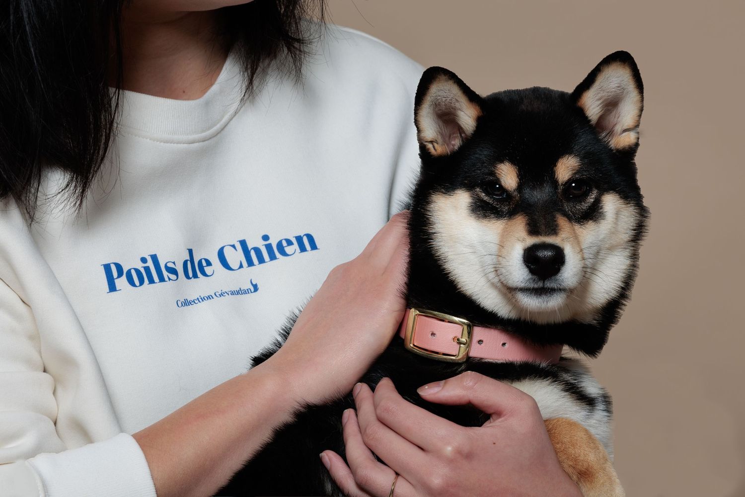 sweat poils de chien