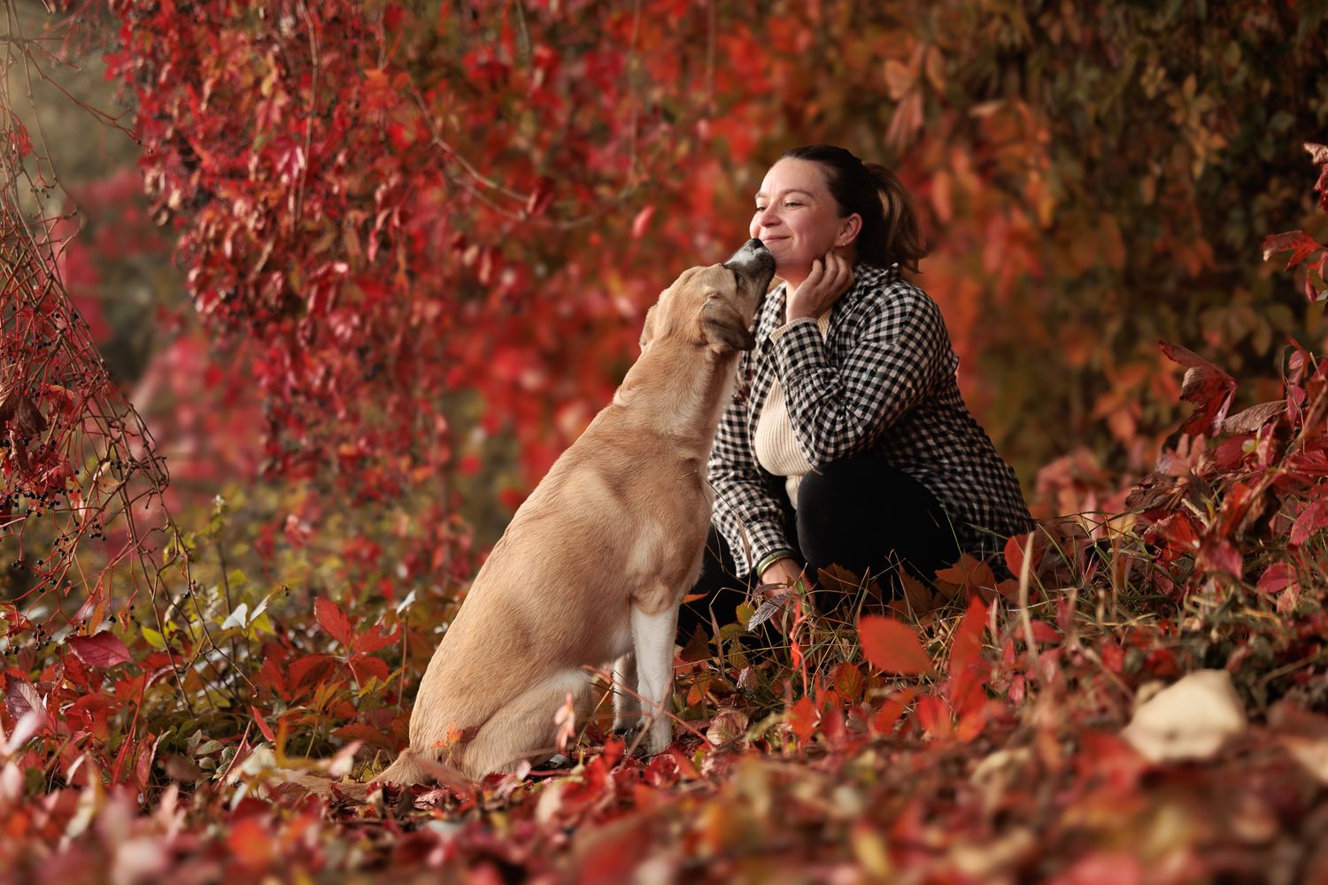 Macha la belle croisée kangal et sa dog mom, en interaction pendant leur séance photo