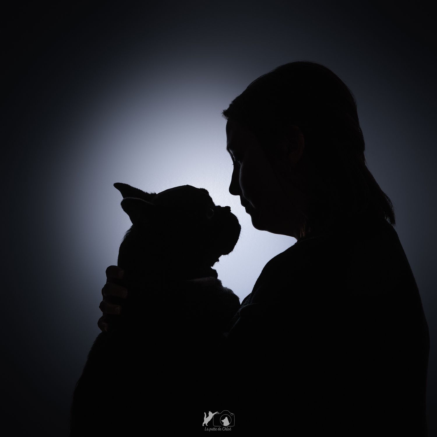 photo de silhouette d'un bouledogue et de sa maitresse