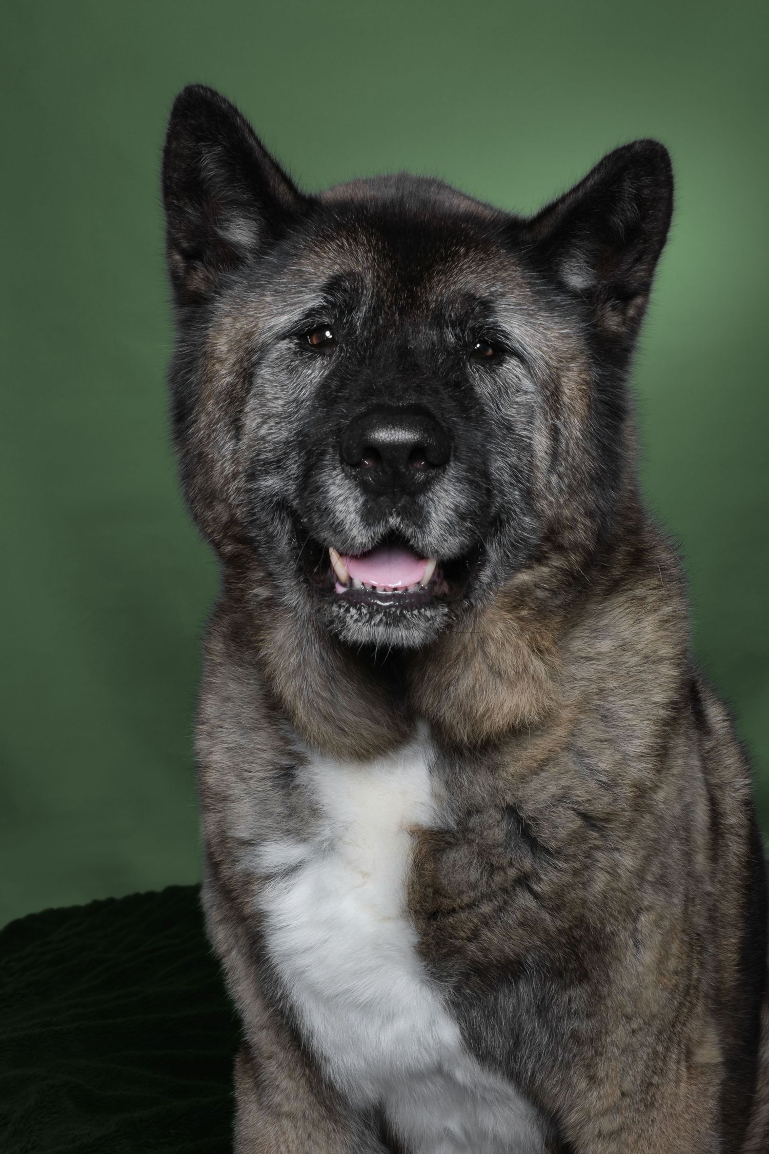 le beau Lyoko, akita