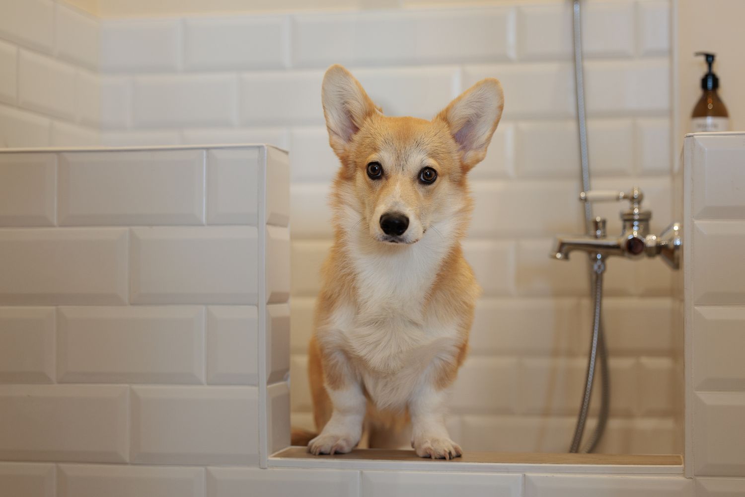 l'heure du bain
