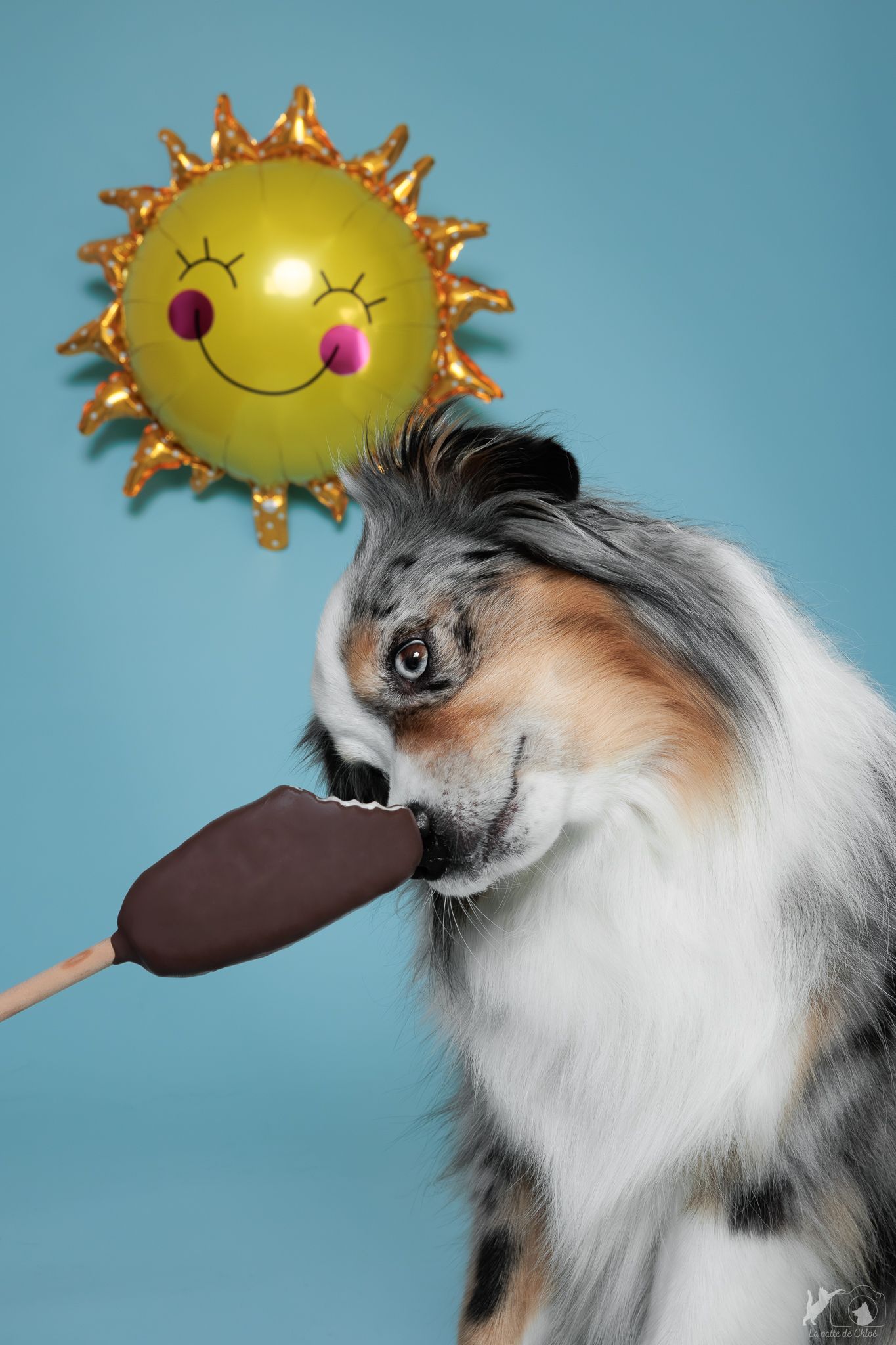 Ronald le berger américain fait les yeux doux pour avoir une glace