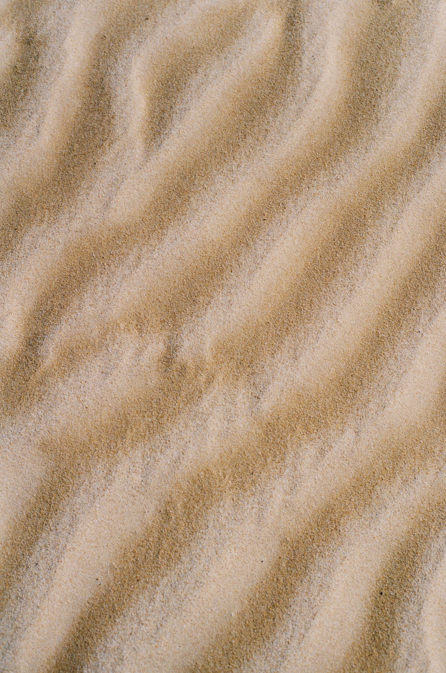 Rippled sand texture creates flowing diagonal patterns in a neutral beige color.