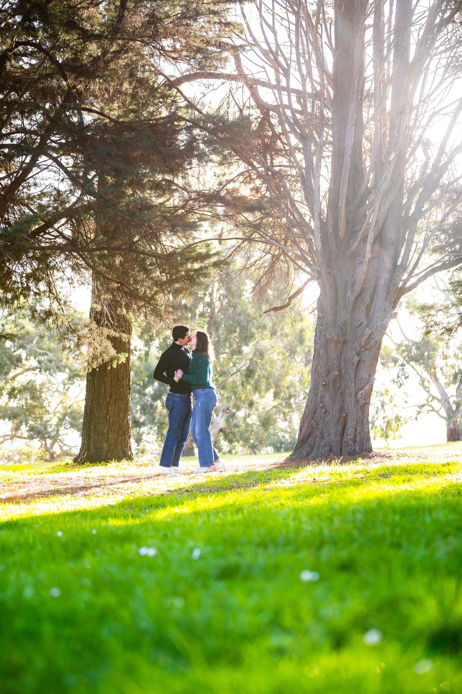 Two silhouettes share an intimate moment beneath sunlit trees in a grassy park.
