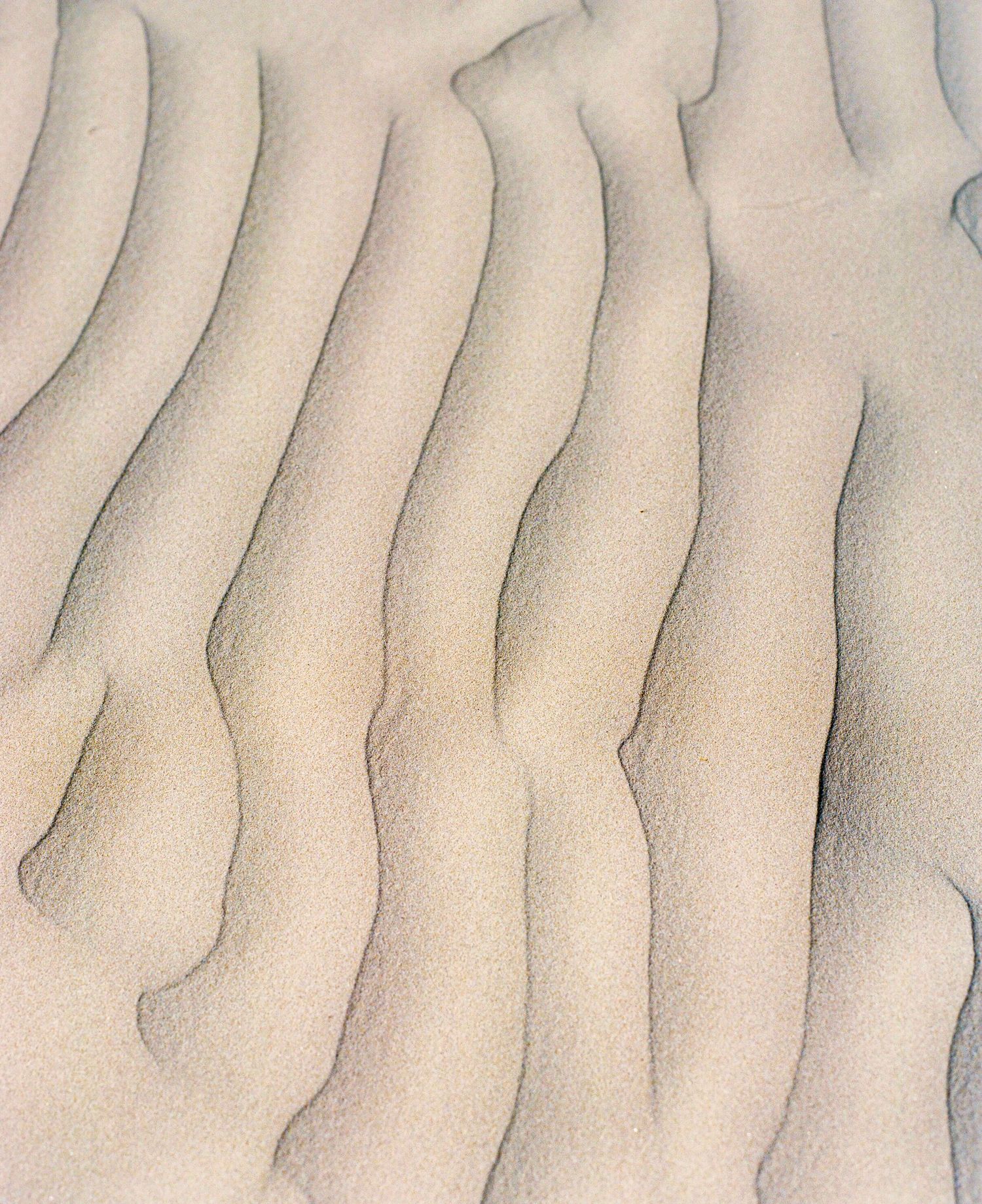 Abstract patterns of rippling sand dunes create mesmerizing natural textures in pale beige tones.