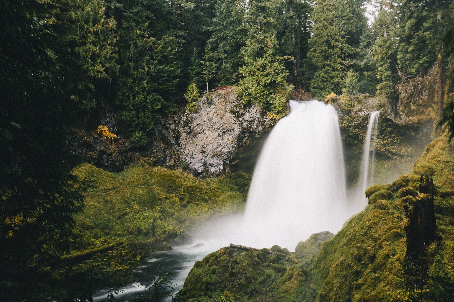 Majestic waterfall cascades down moss-covered rocks in a lush evergreen forest landscape.