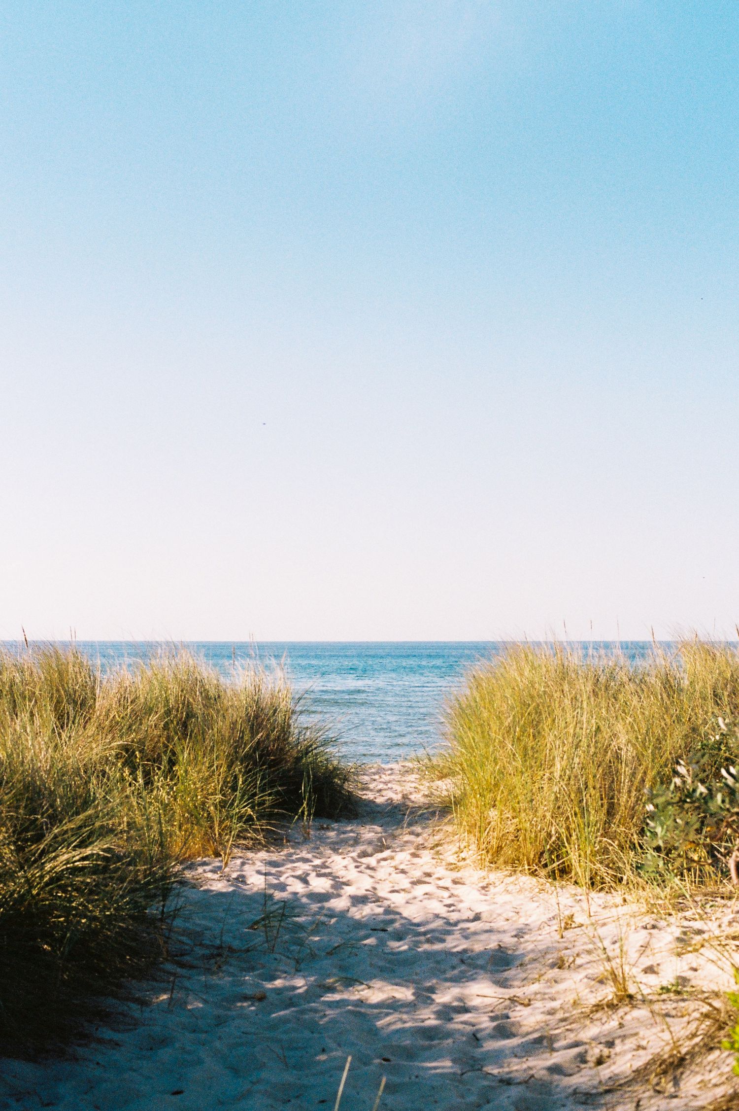 Sandy path through beach grass leads to ocean horizon under soft blue sky on a summer day.