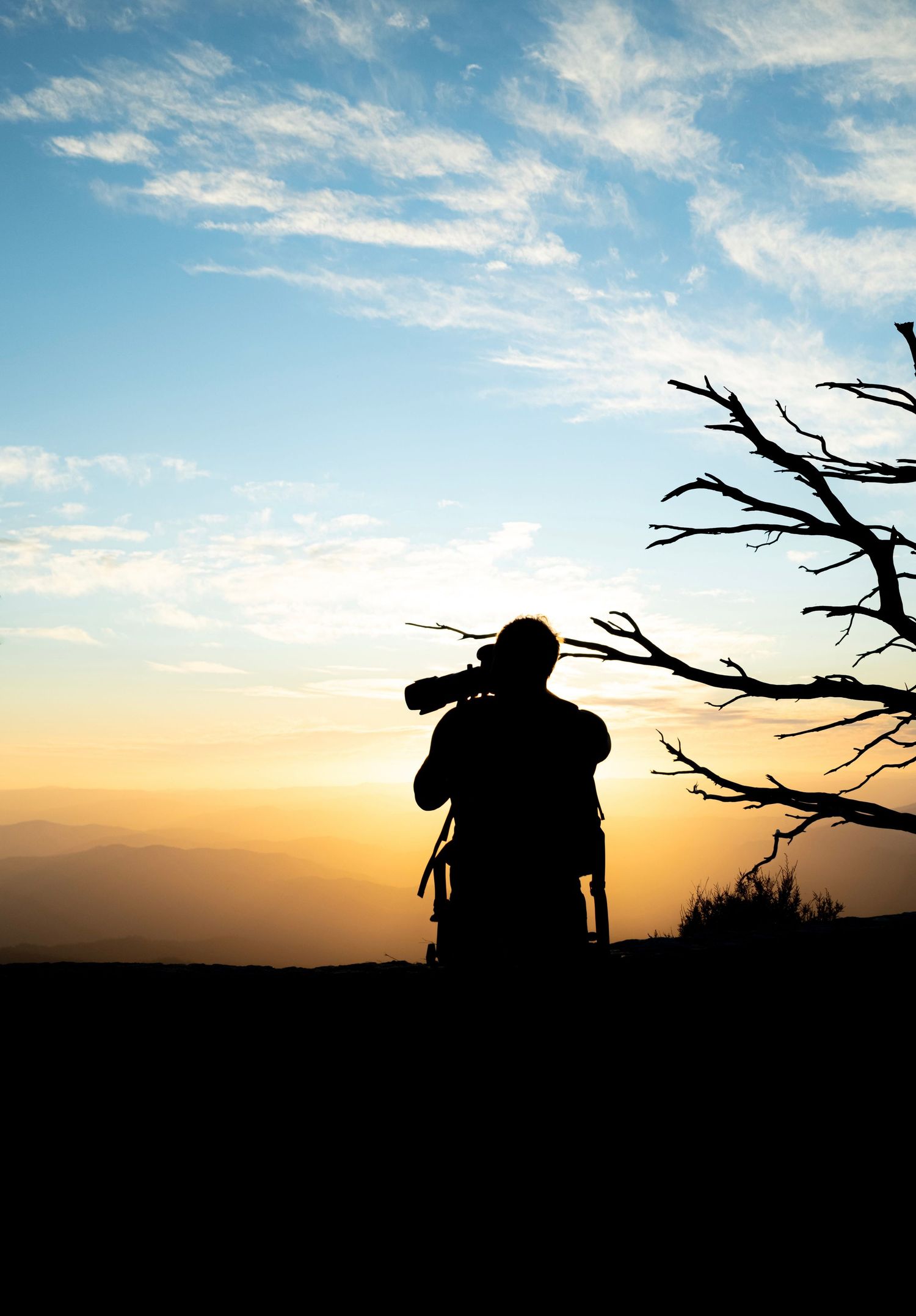 Silhouette of a photographer capturing sunset from a mountain peak with dead tree branches.