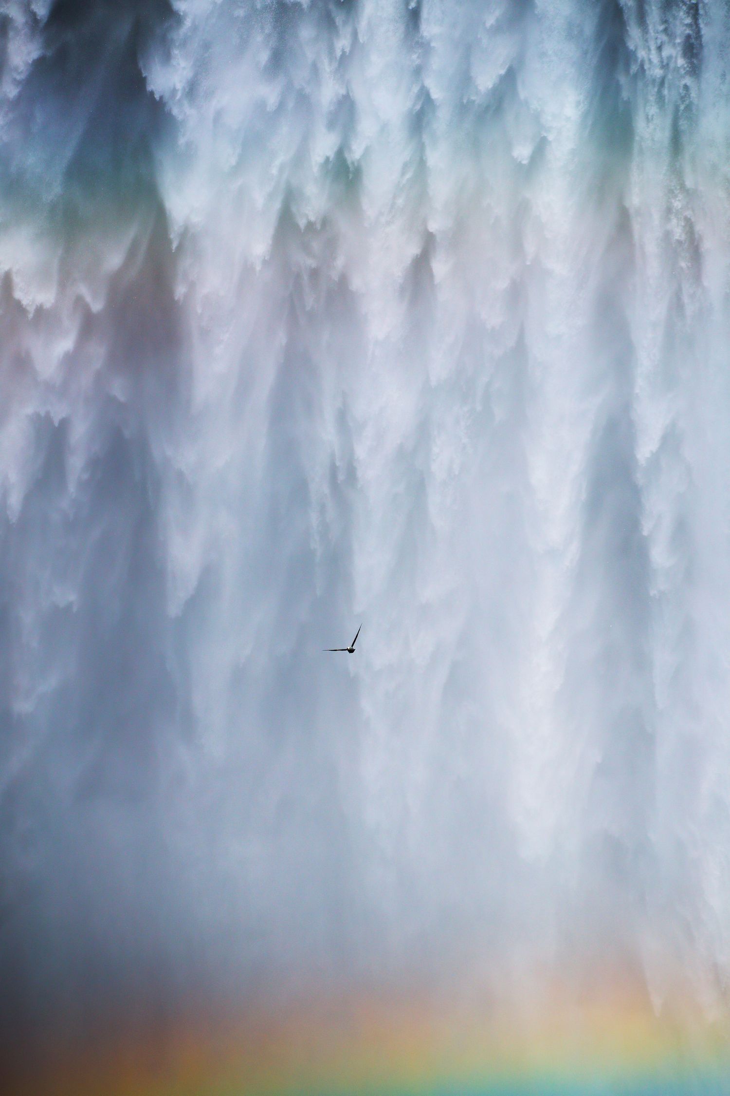 A bird soars through the misty spray of a massive waterfall with a vibrant rainbow visible in the foreground.