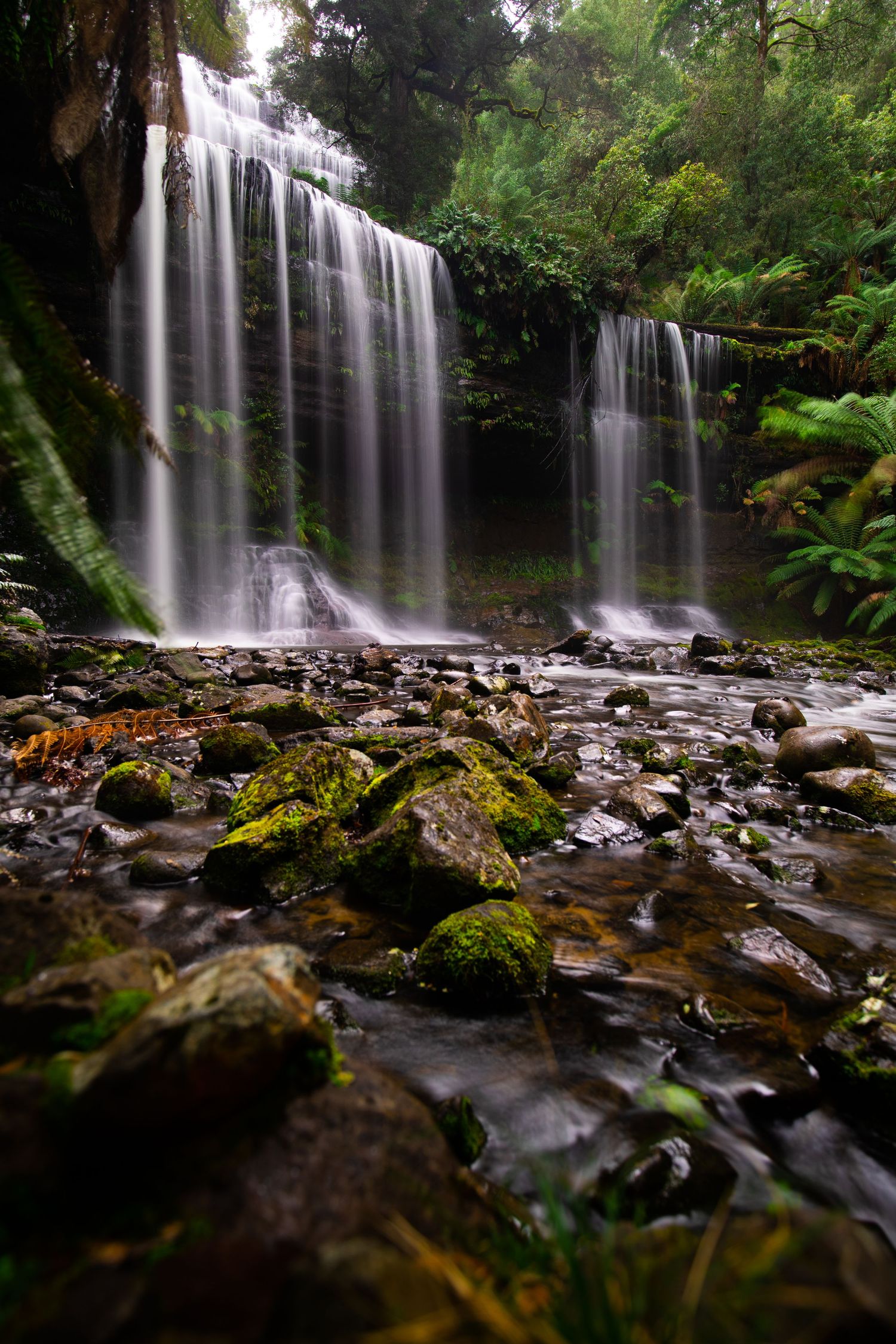 Majestic waterfall cascades over mossy rocks in lush rainforest setting with smooth water motion and vibrant greenery.