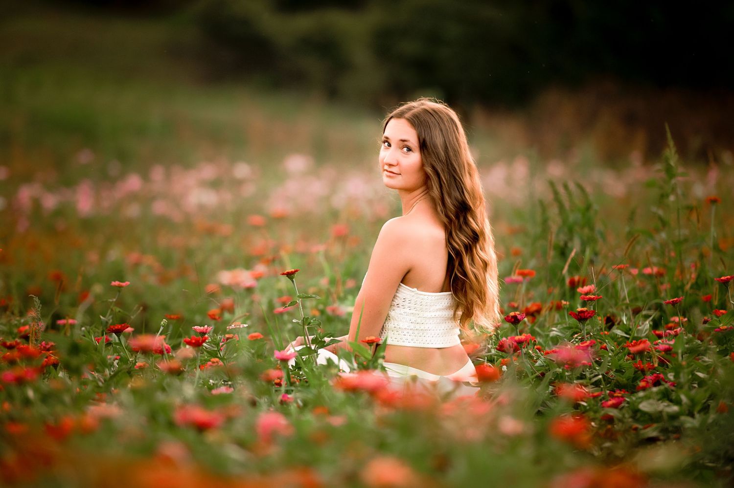 Romantic outdoor portraits amid a field of red flowers in warm evening light.