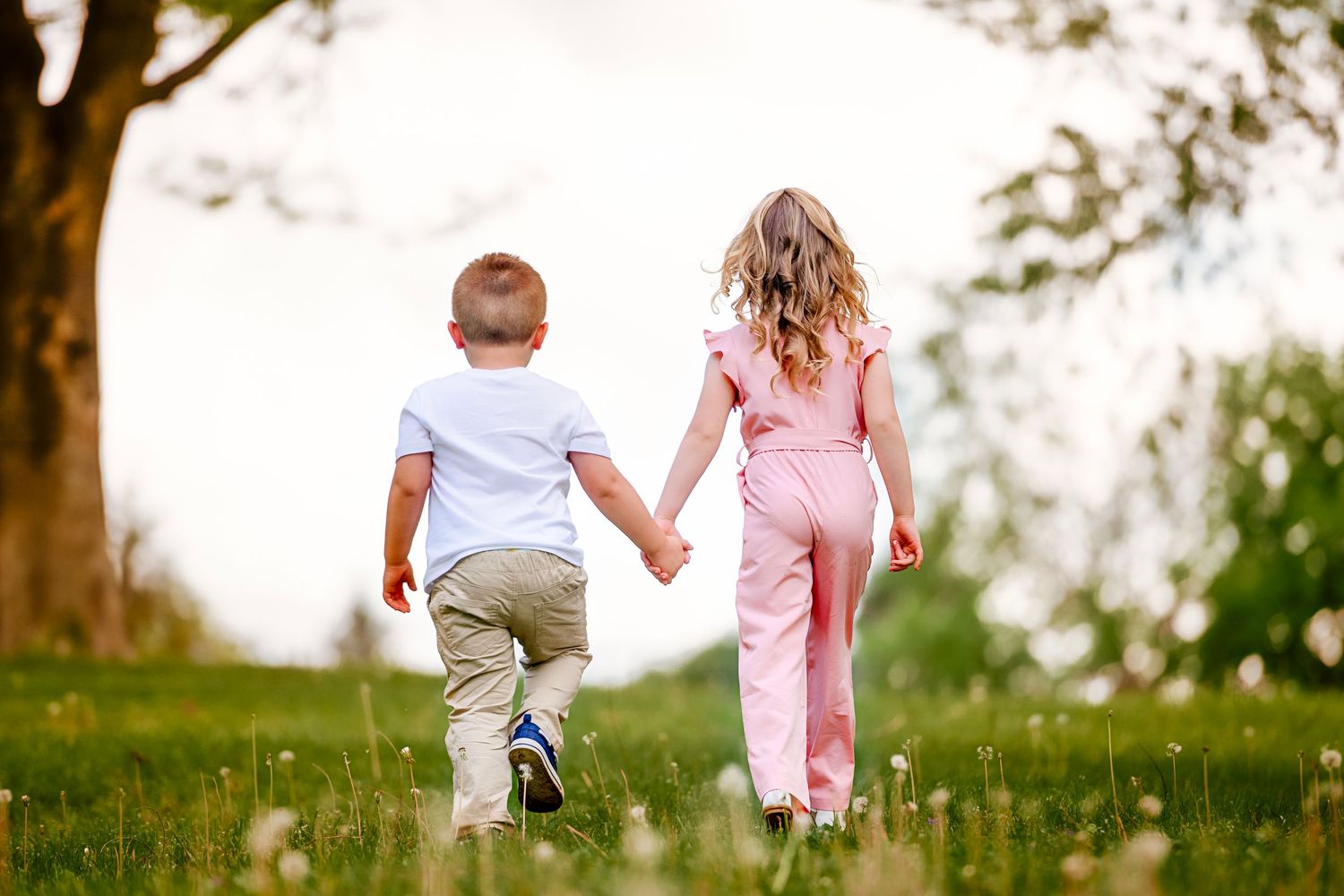 Children walking through blooming spring meadow in soft afternoon light.